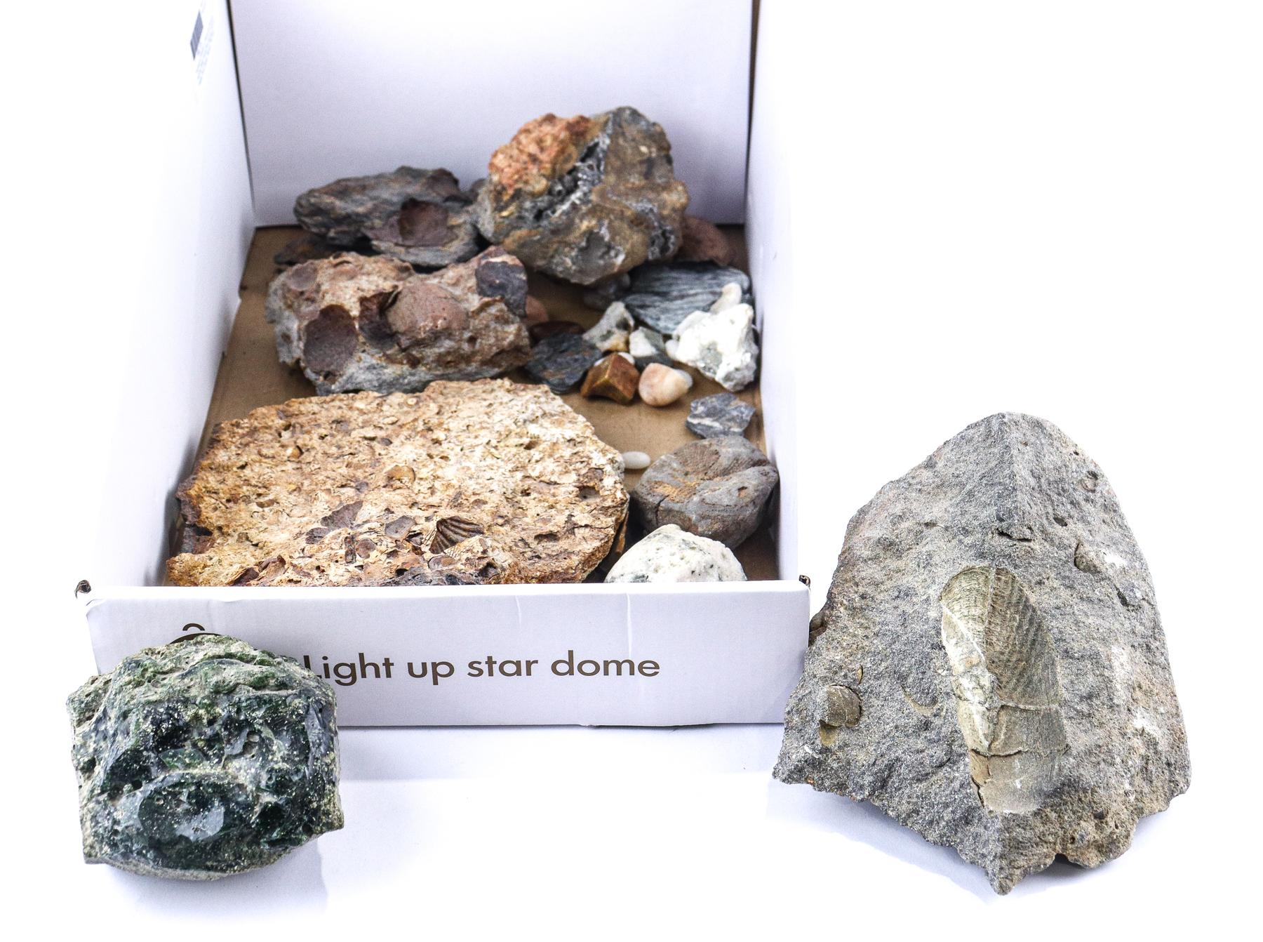 Lot 273 - Image 2