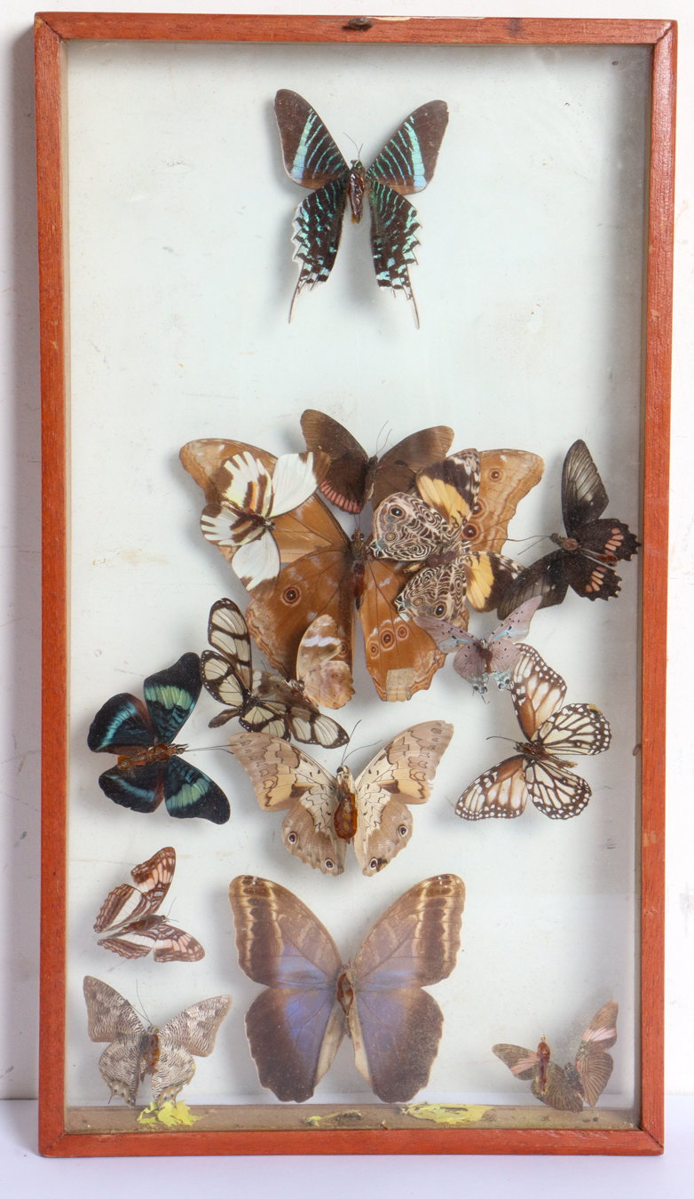 Lot 252 - Image 2