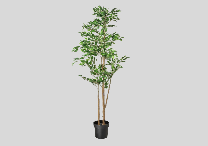 Lot 257 - Image 2