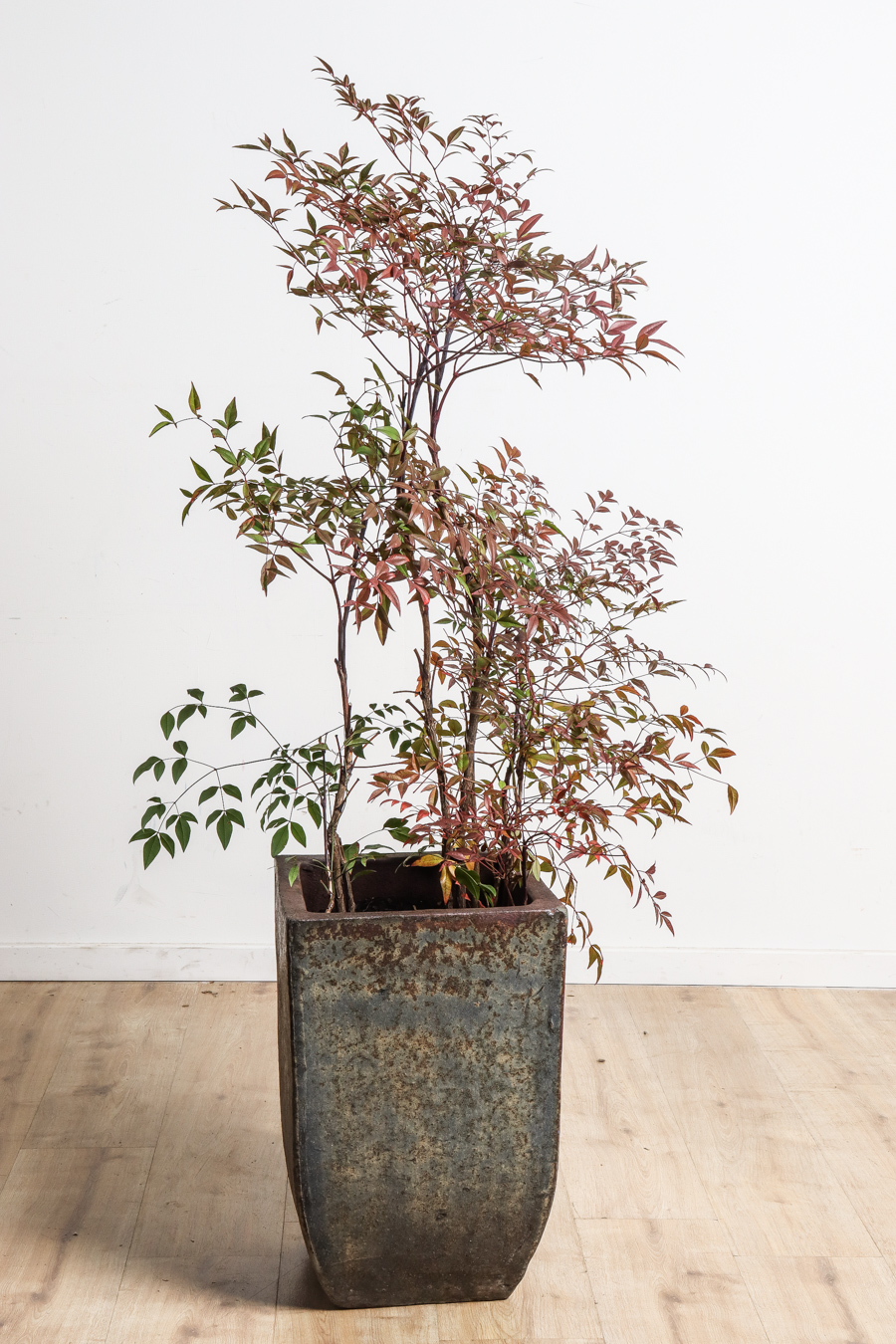 Lot 26 - Image 2