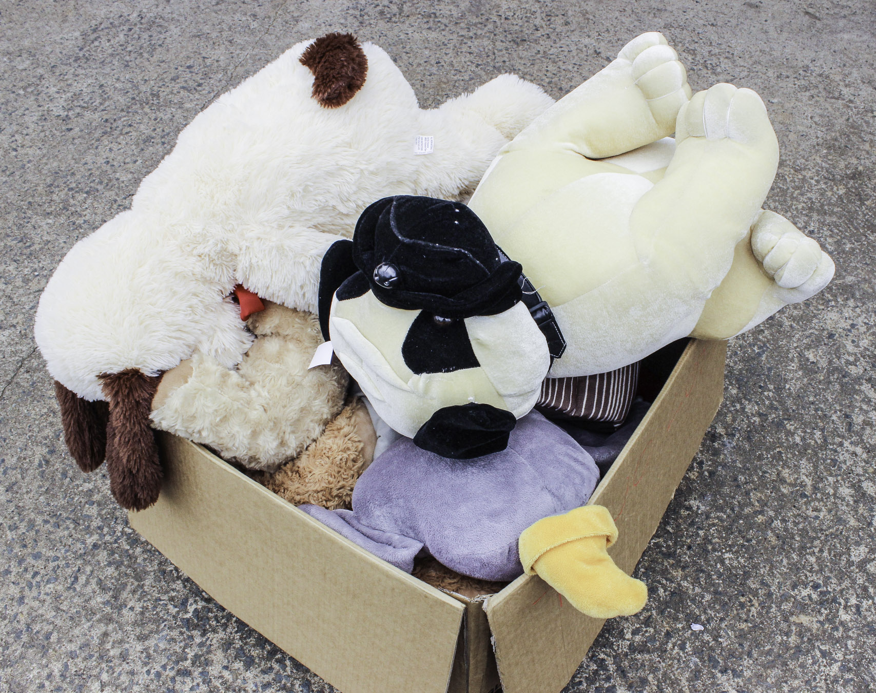 Lot 202 - Image 2