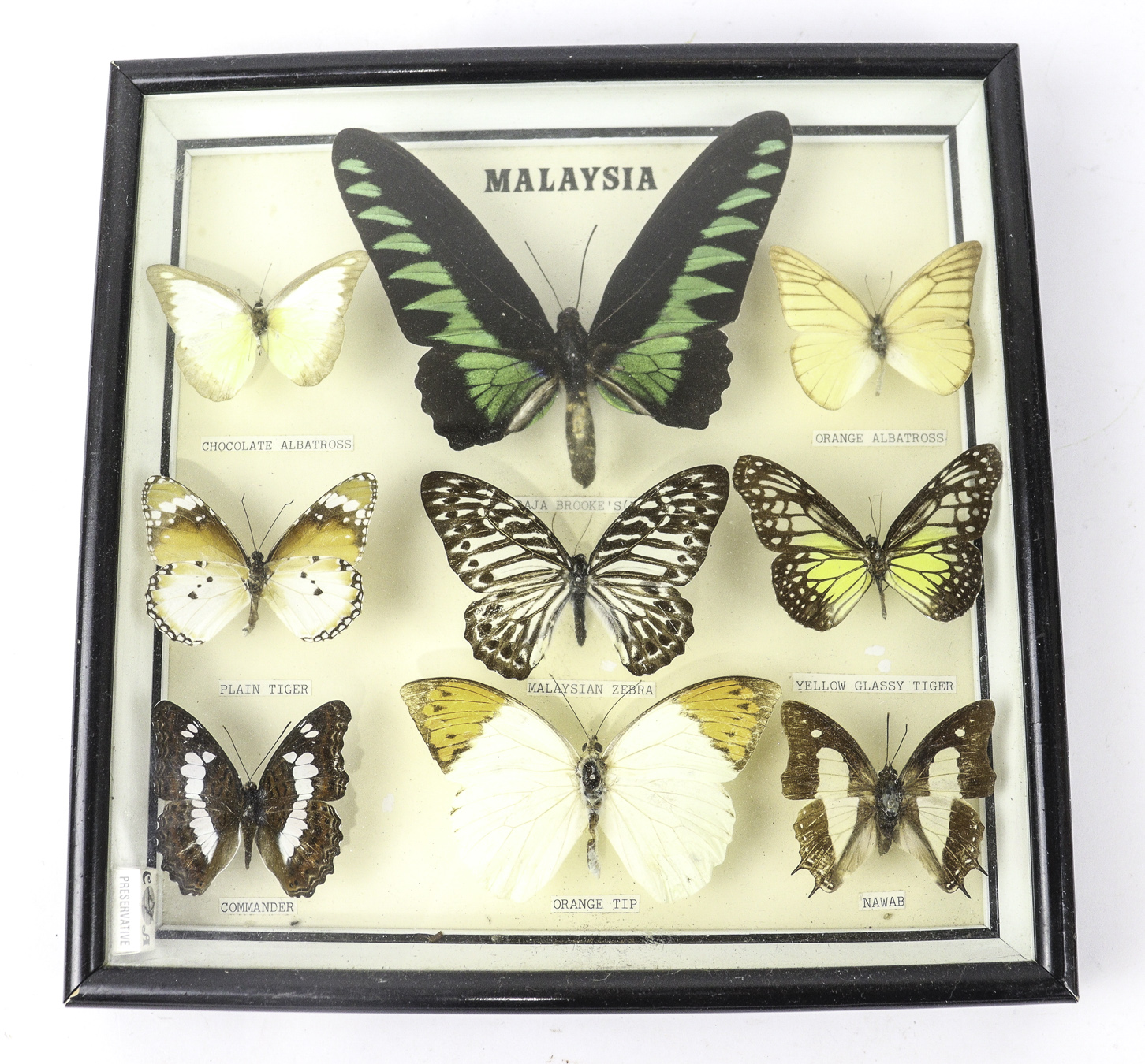 Lot 229 - Image 2