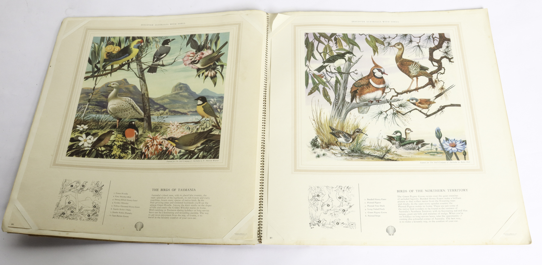 Lot 349 - Image 2