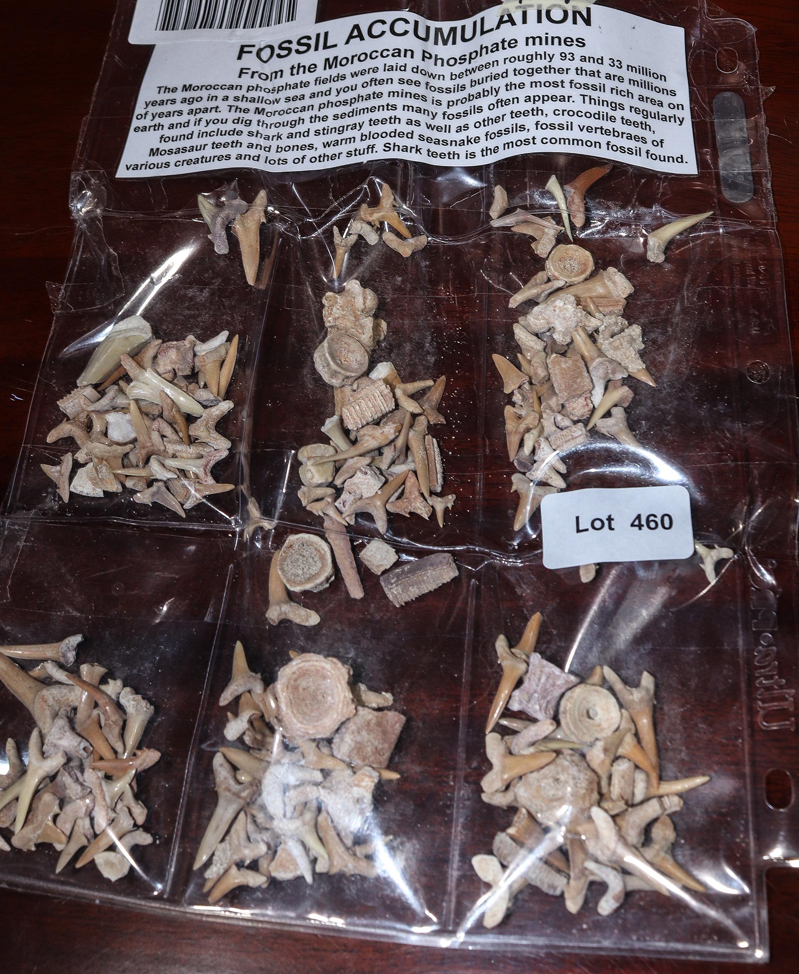 Lot 460 - Image 2