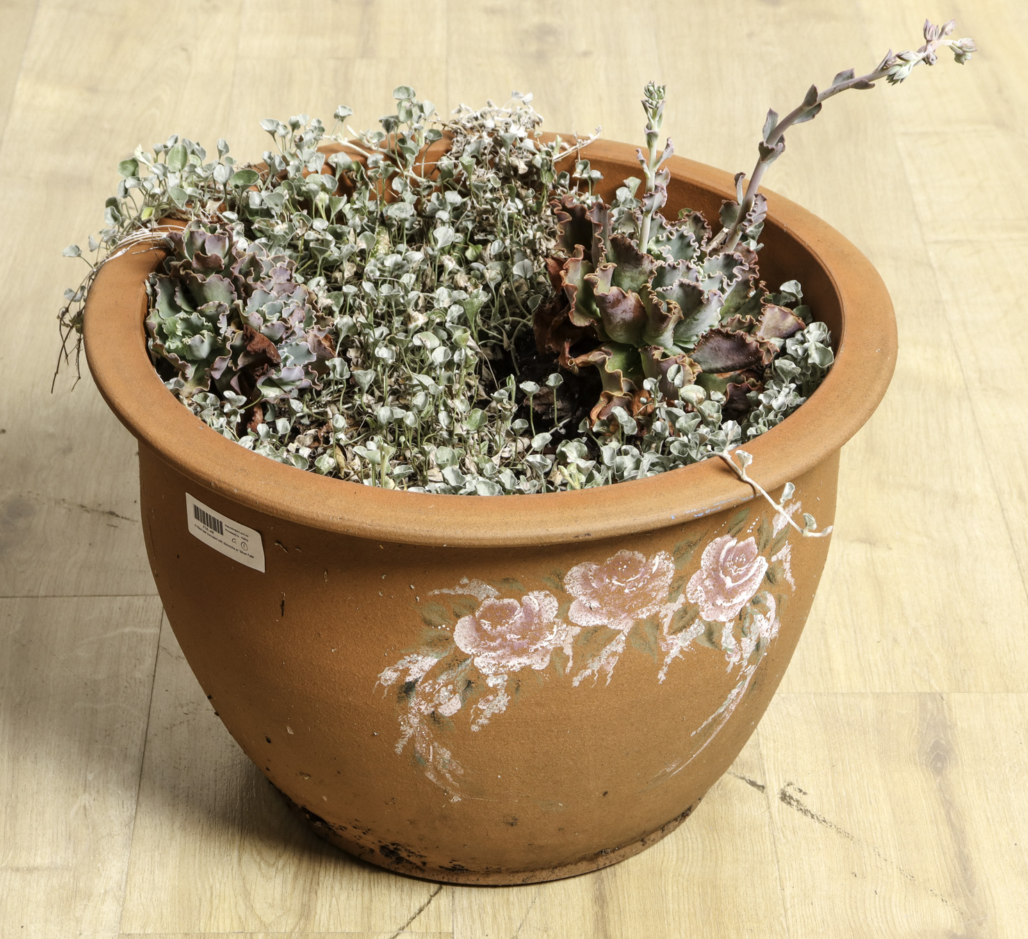 Lot 126 - Image 2