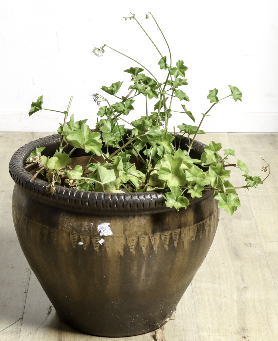 Lot 11 - Image 2