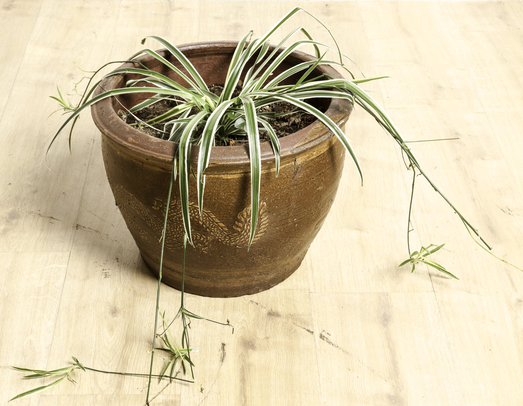 Lot 128 - Image 2