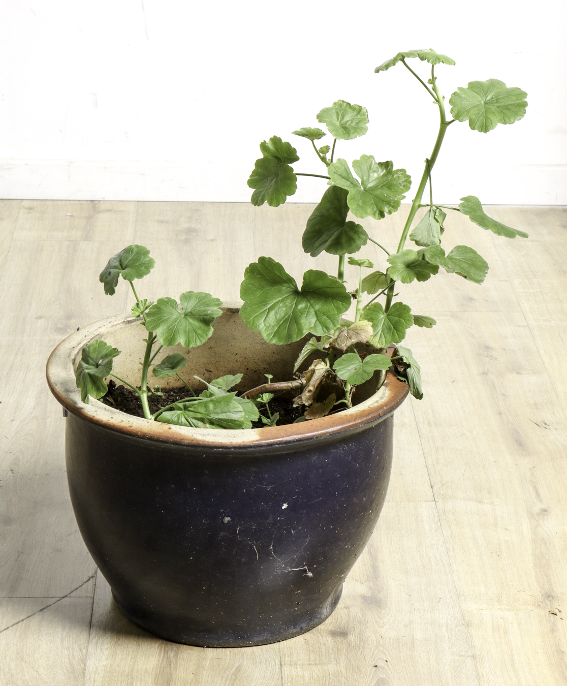 Lot 136 - Image 2