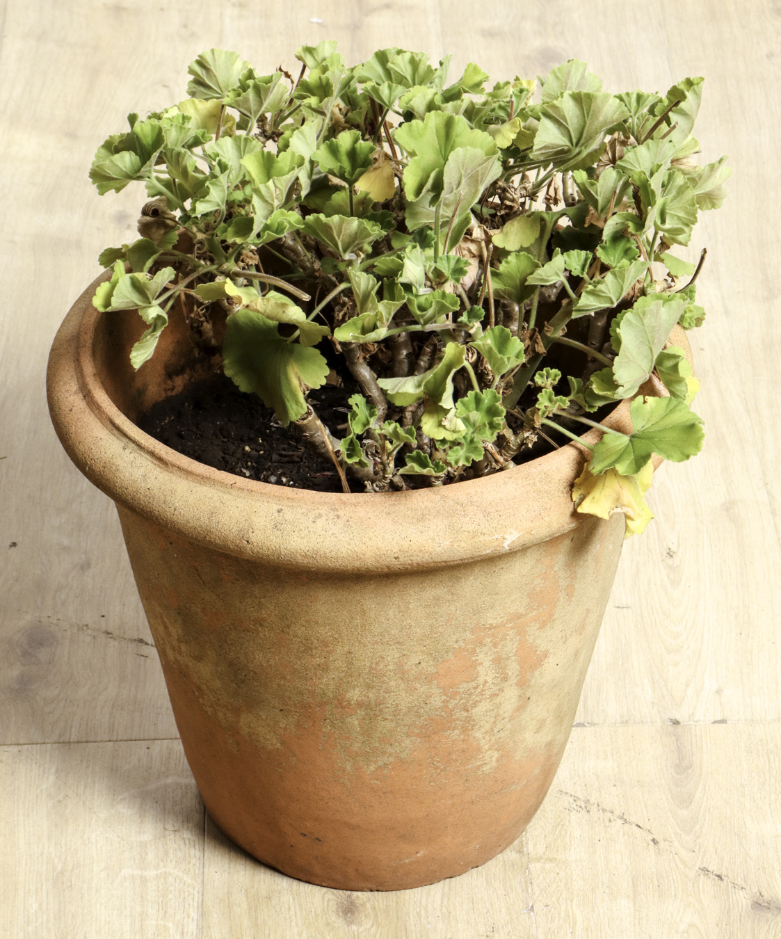 Lot 125 - Image 2