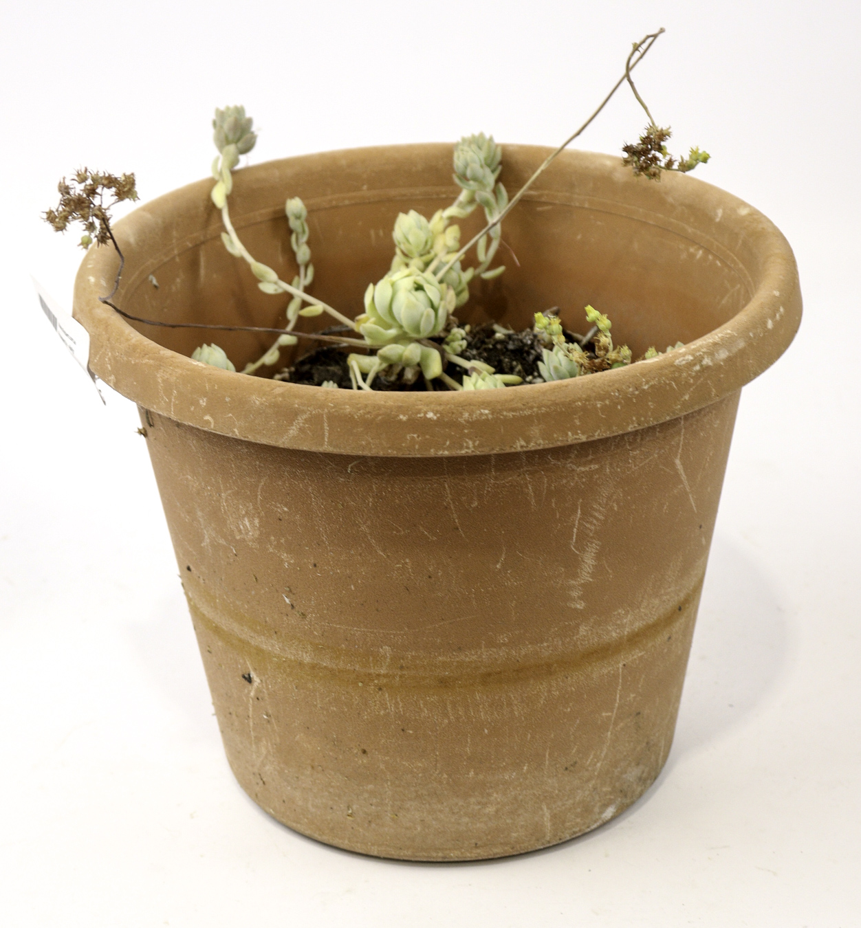 Lot 110 - Image 2