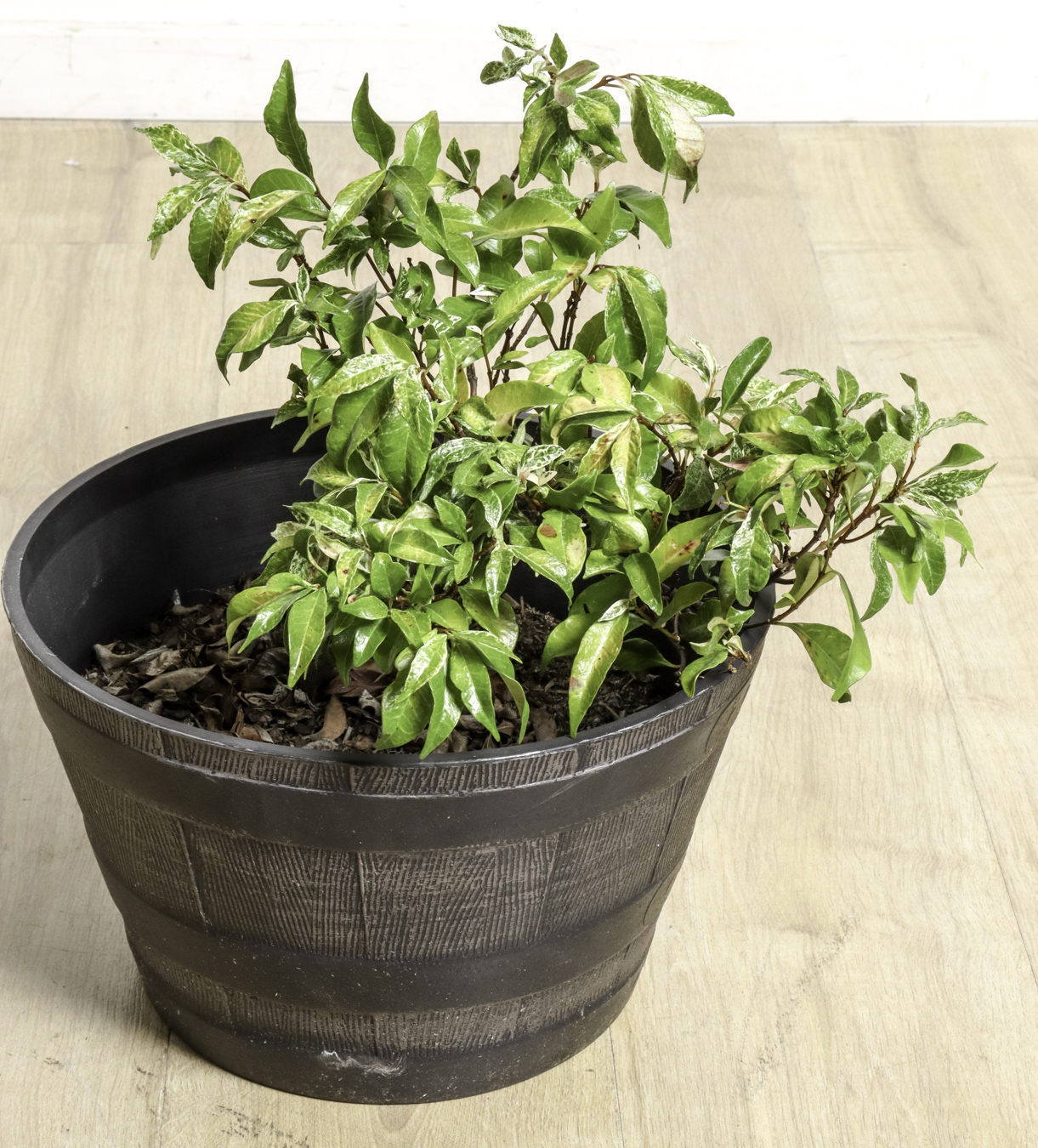 Lot 324 - Image 2