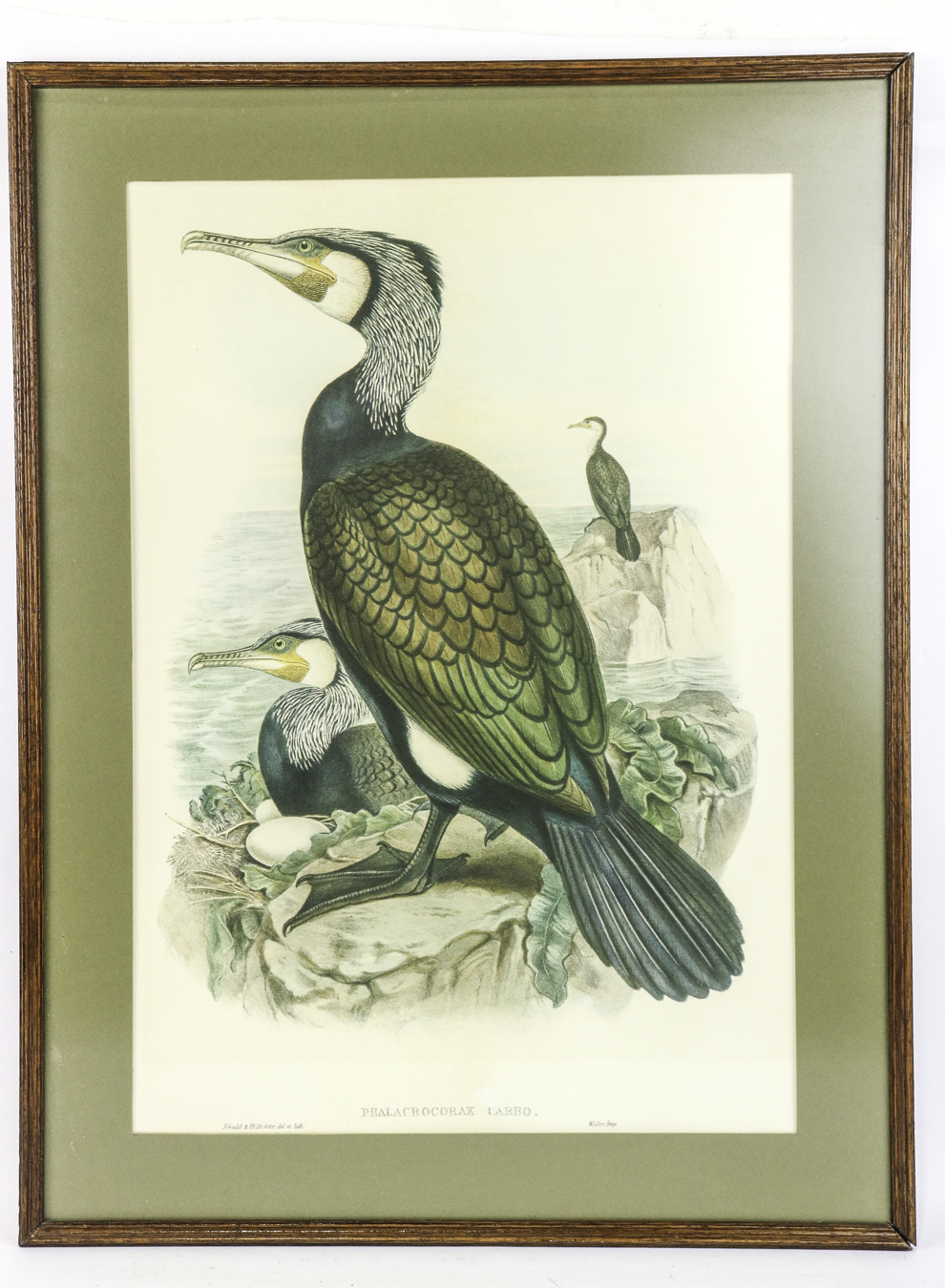 Lot 16 - Image 2