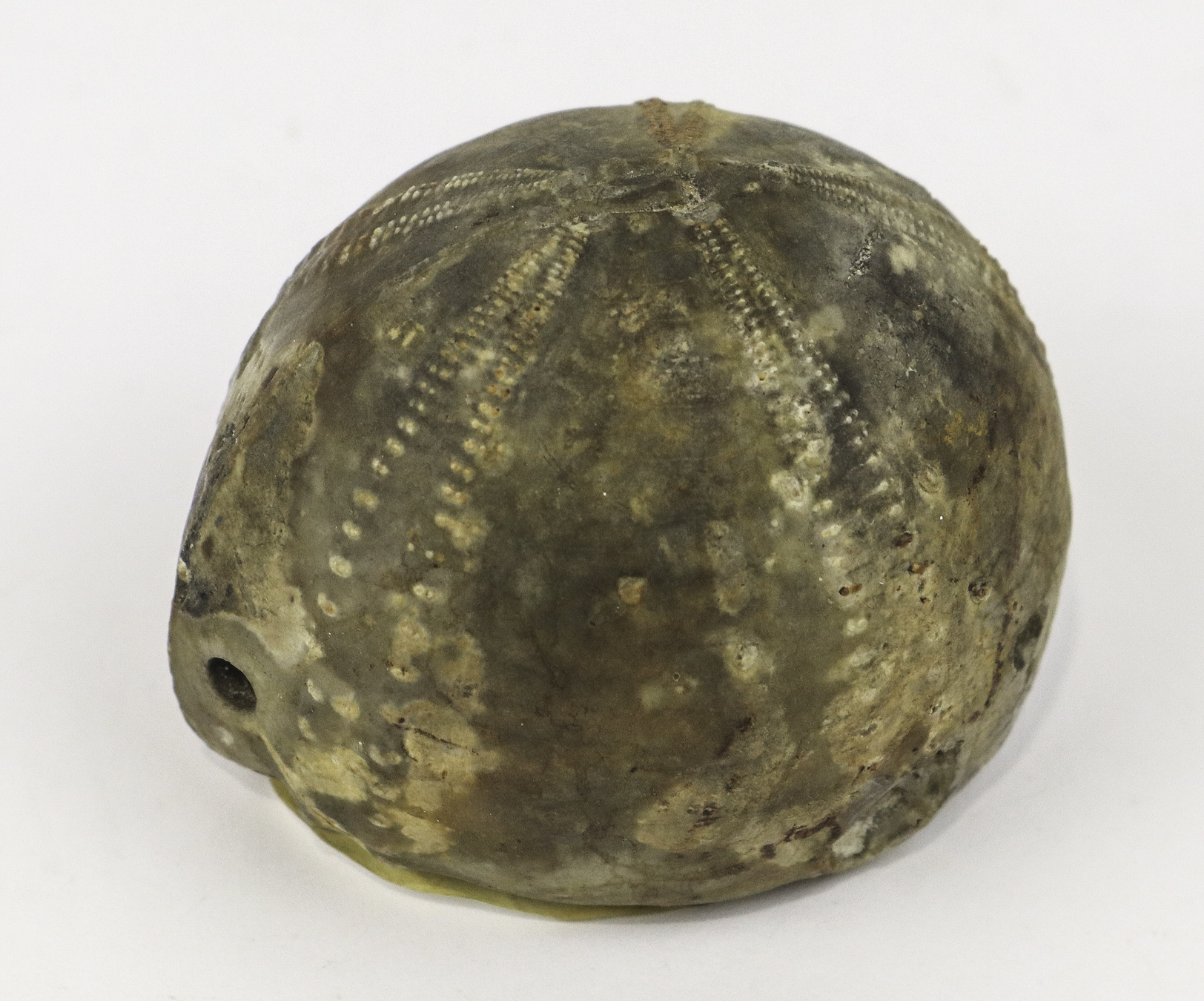 Lot 25 - Image 2