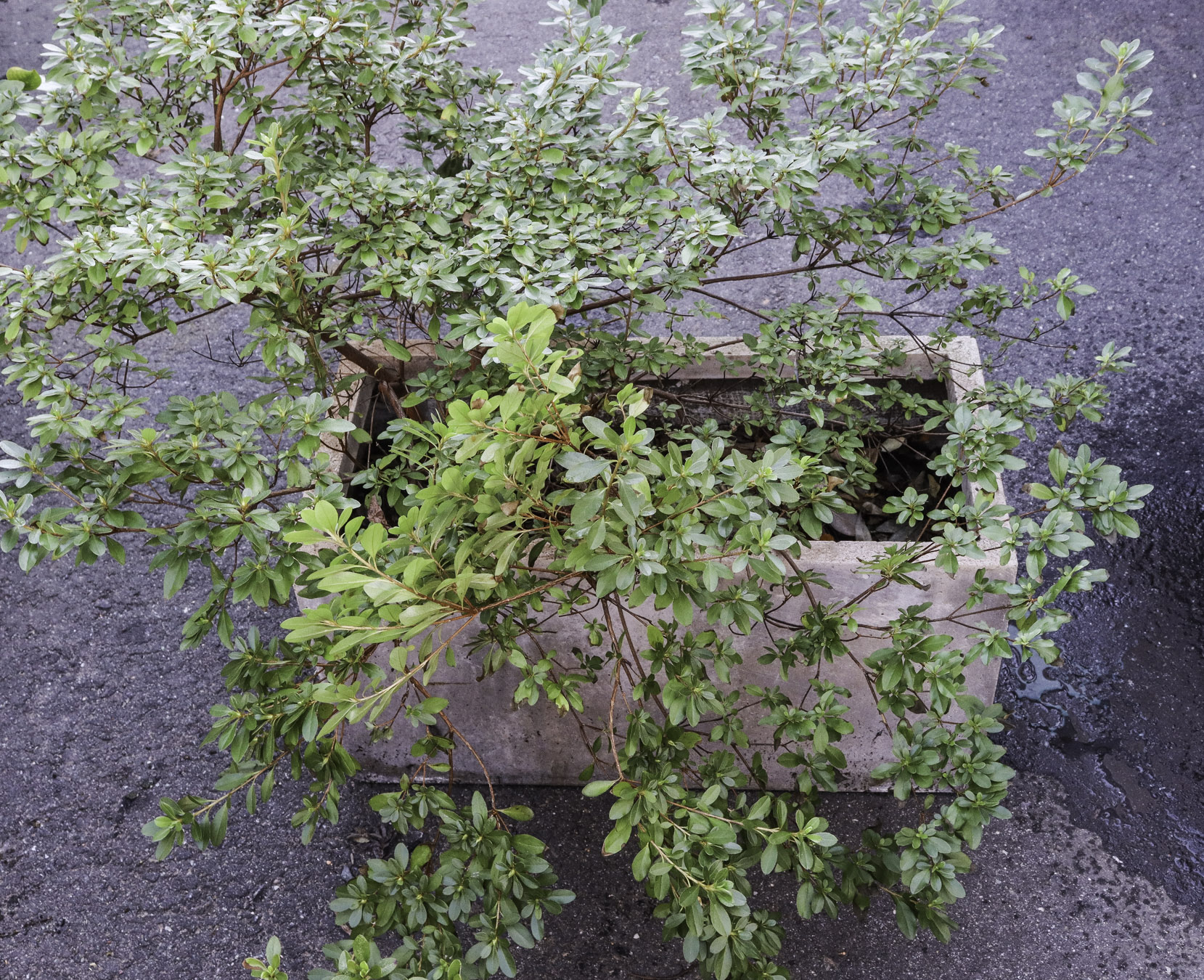 Lot 480 - Image 2