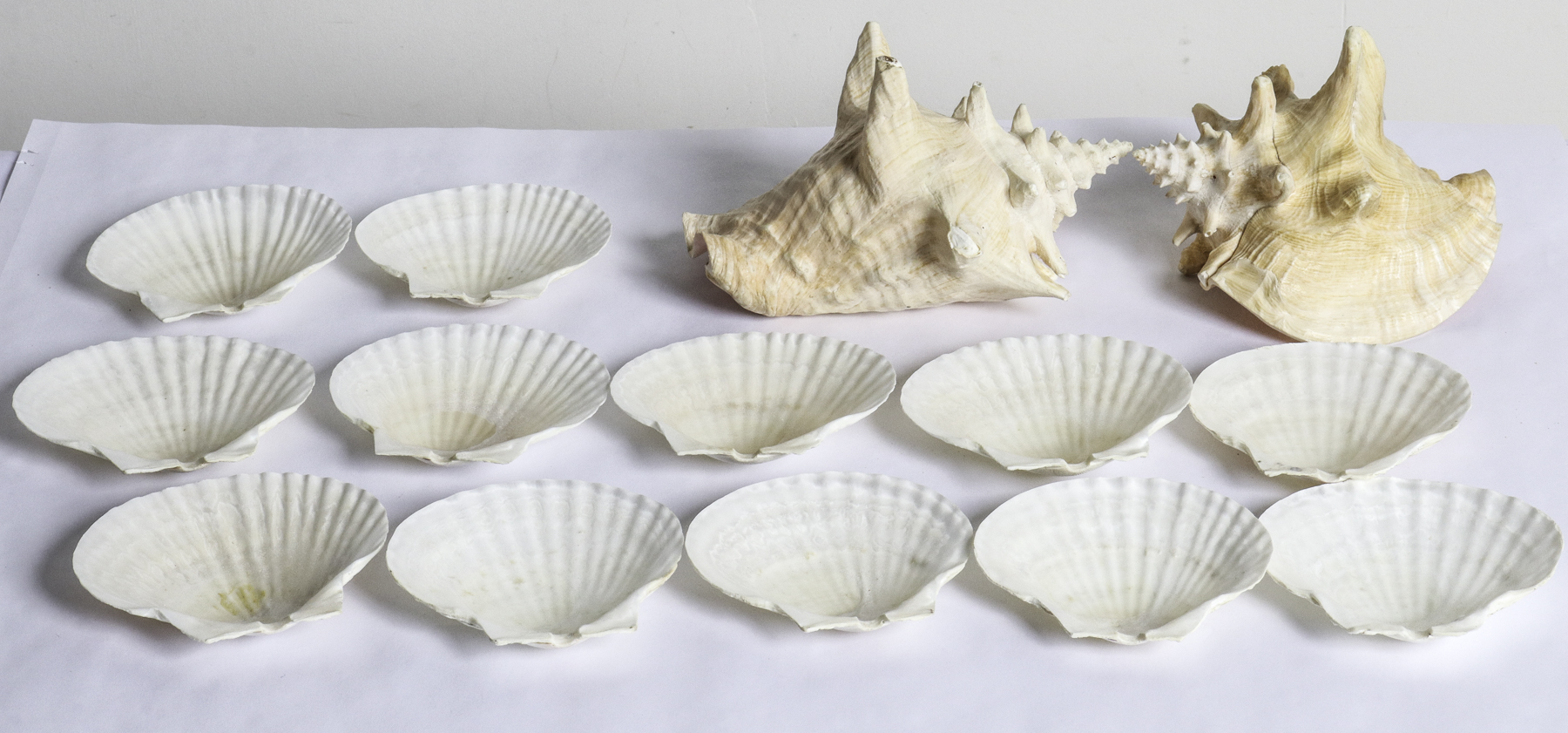 Lot 24 - Image 2
