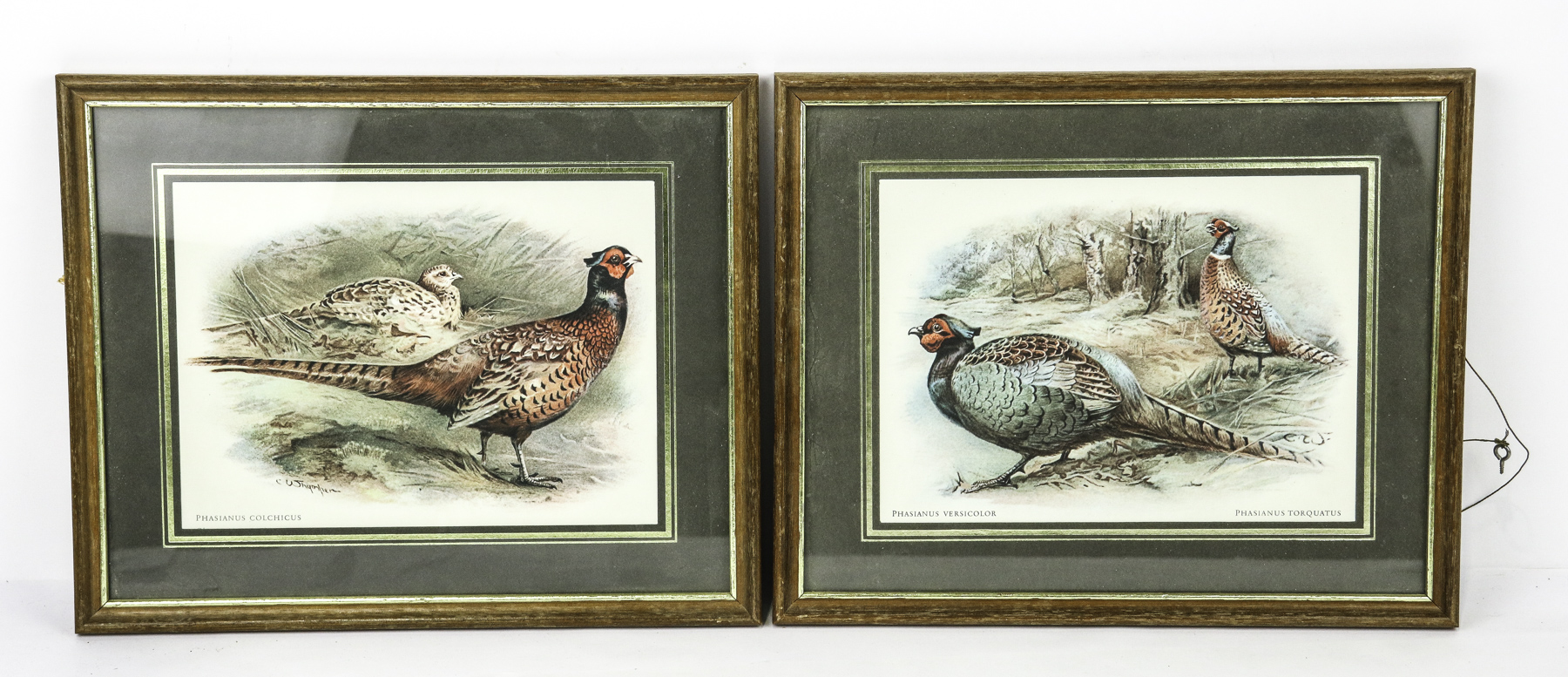 Lot 113 - Image 2