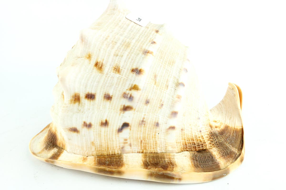 Lot 180 - Image 2