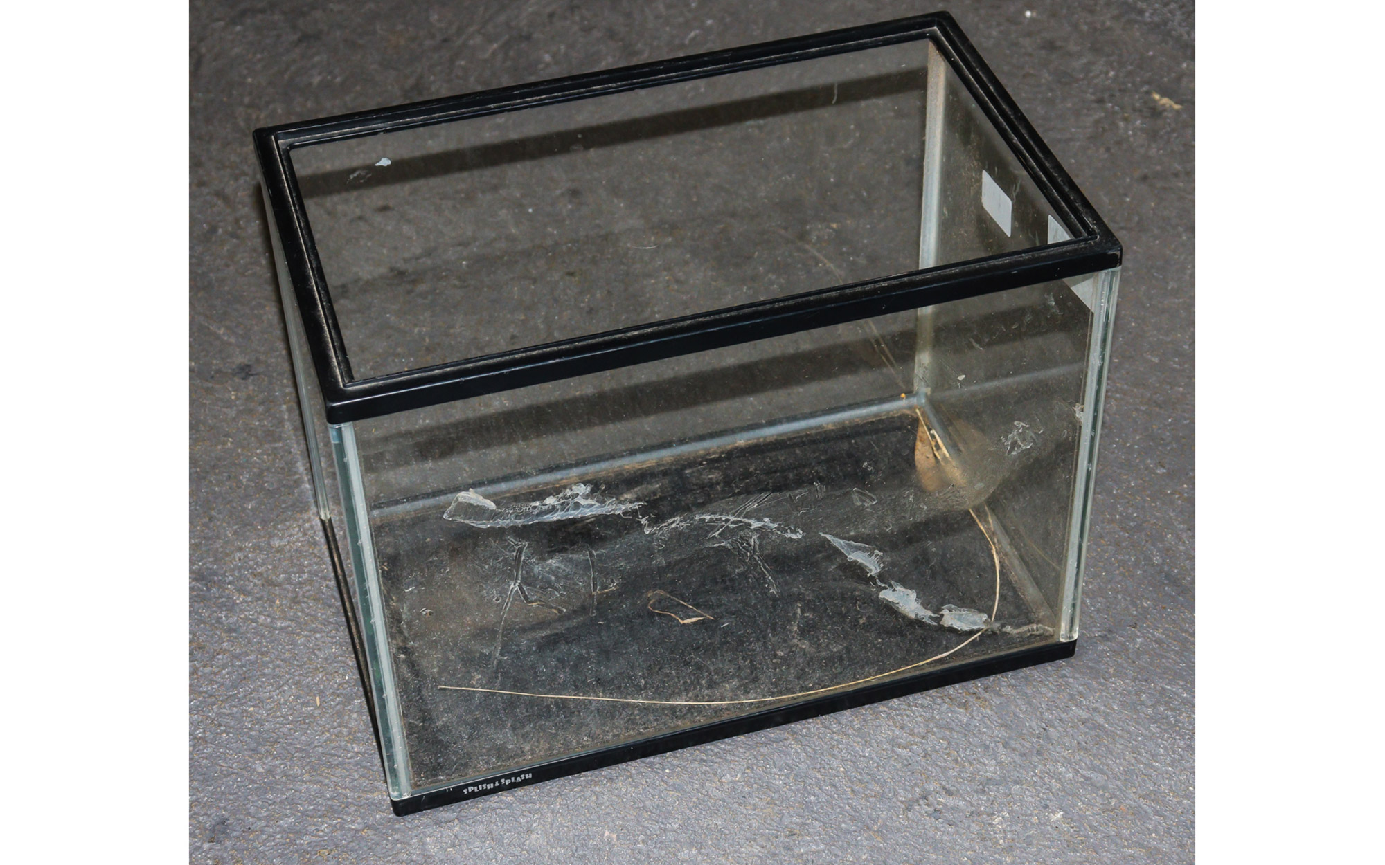 Lot 157 - Image 2