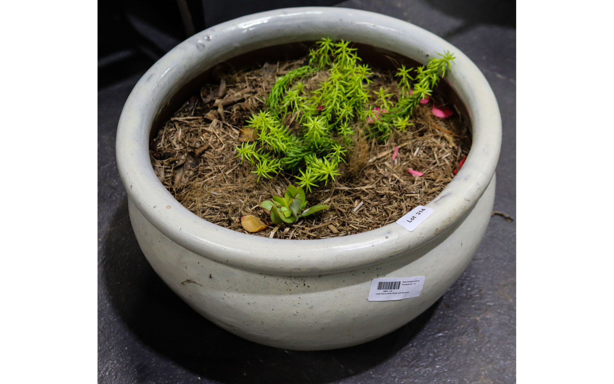 Lot 314 - Image 2
