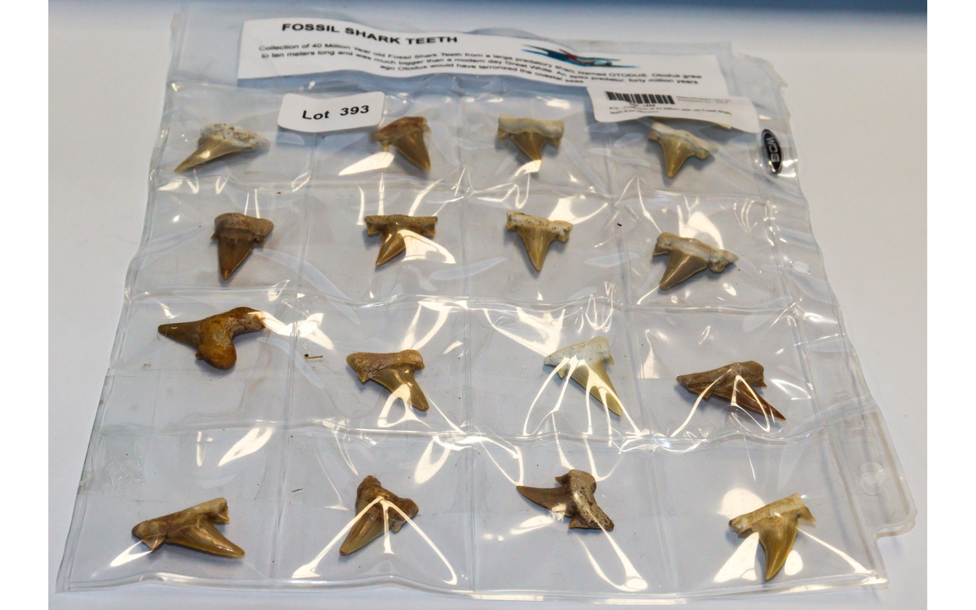 Lot 393 - Image 2