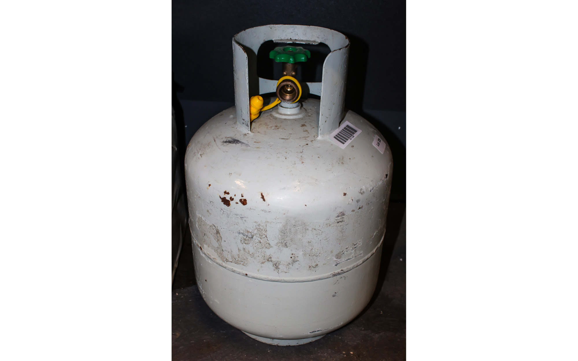 Lot 229 - Image 2