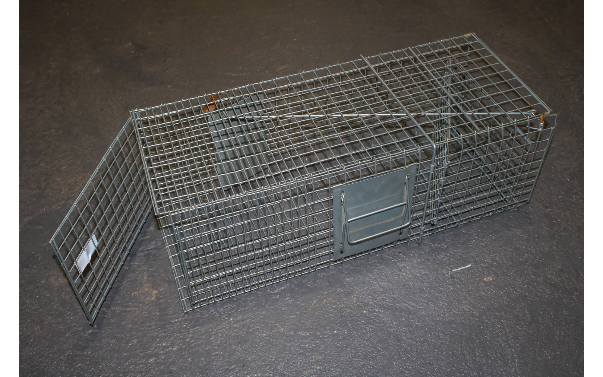 Lot 245 - Image 2