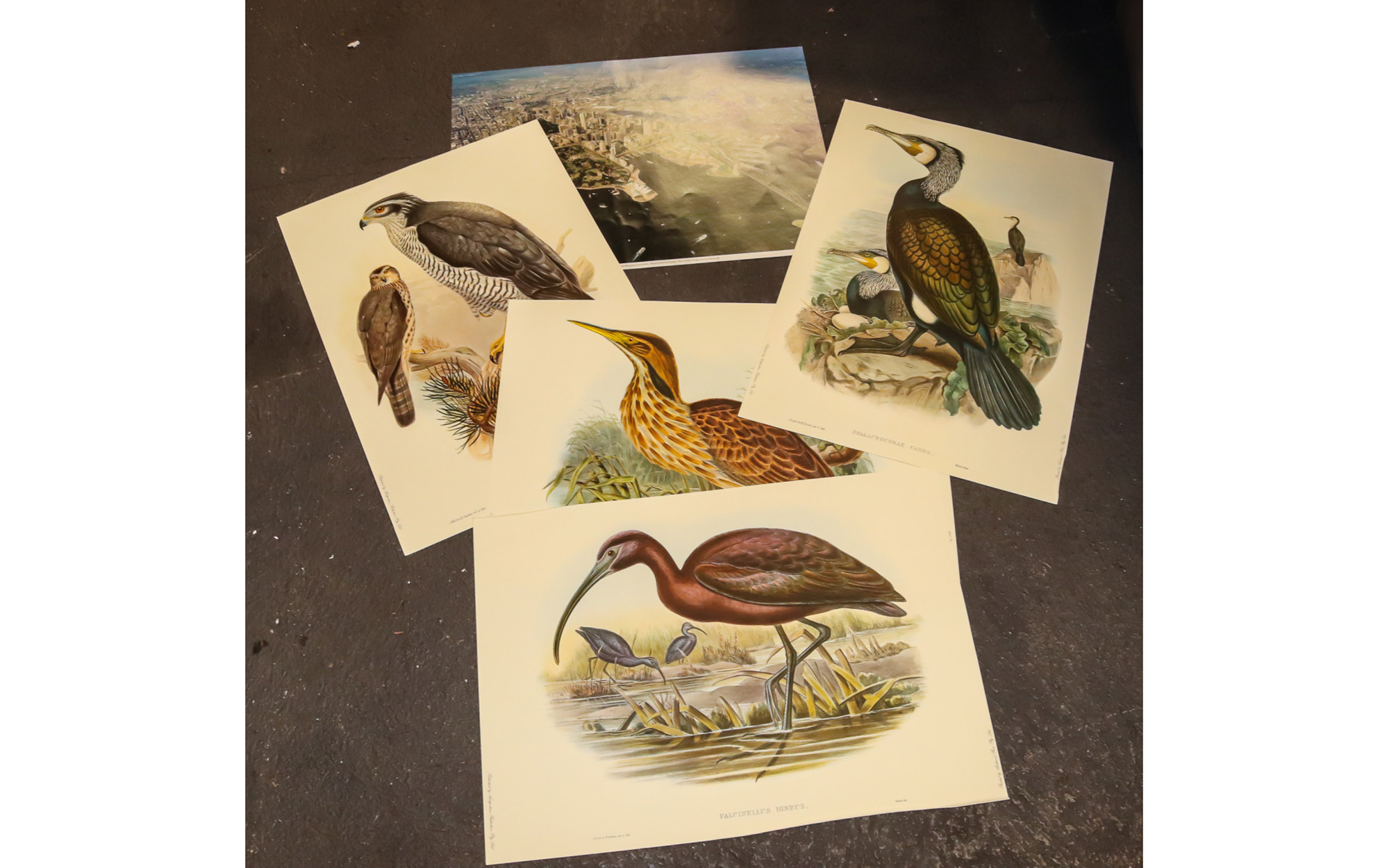 Lot 442 - Image 2