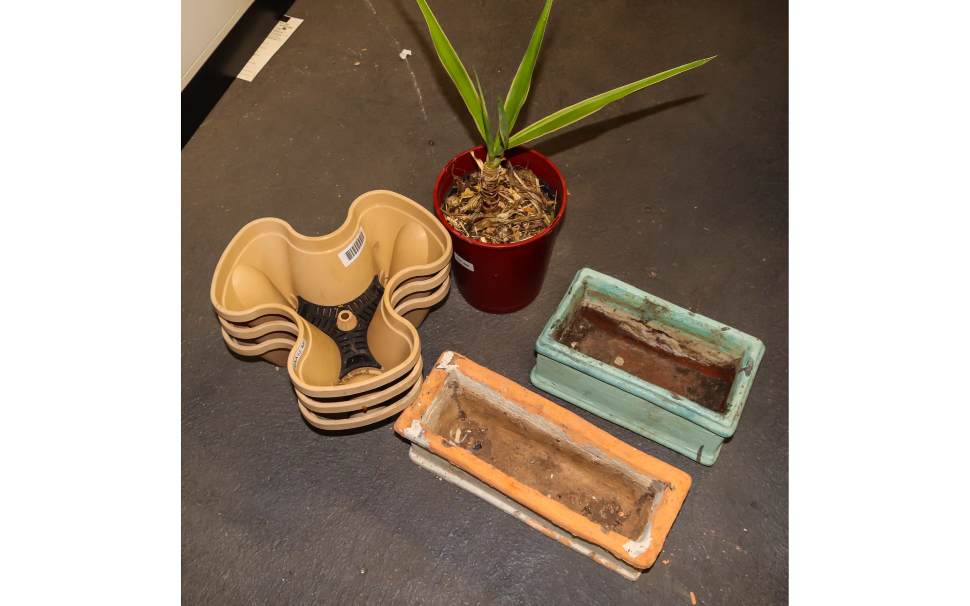 Lot 446 - Image 2