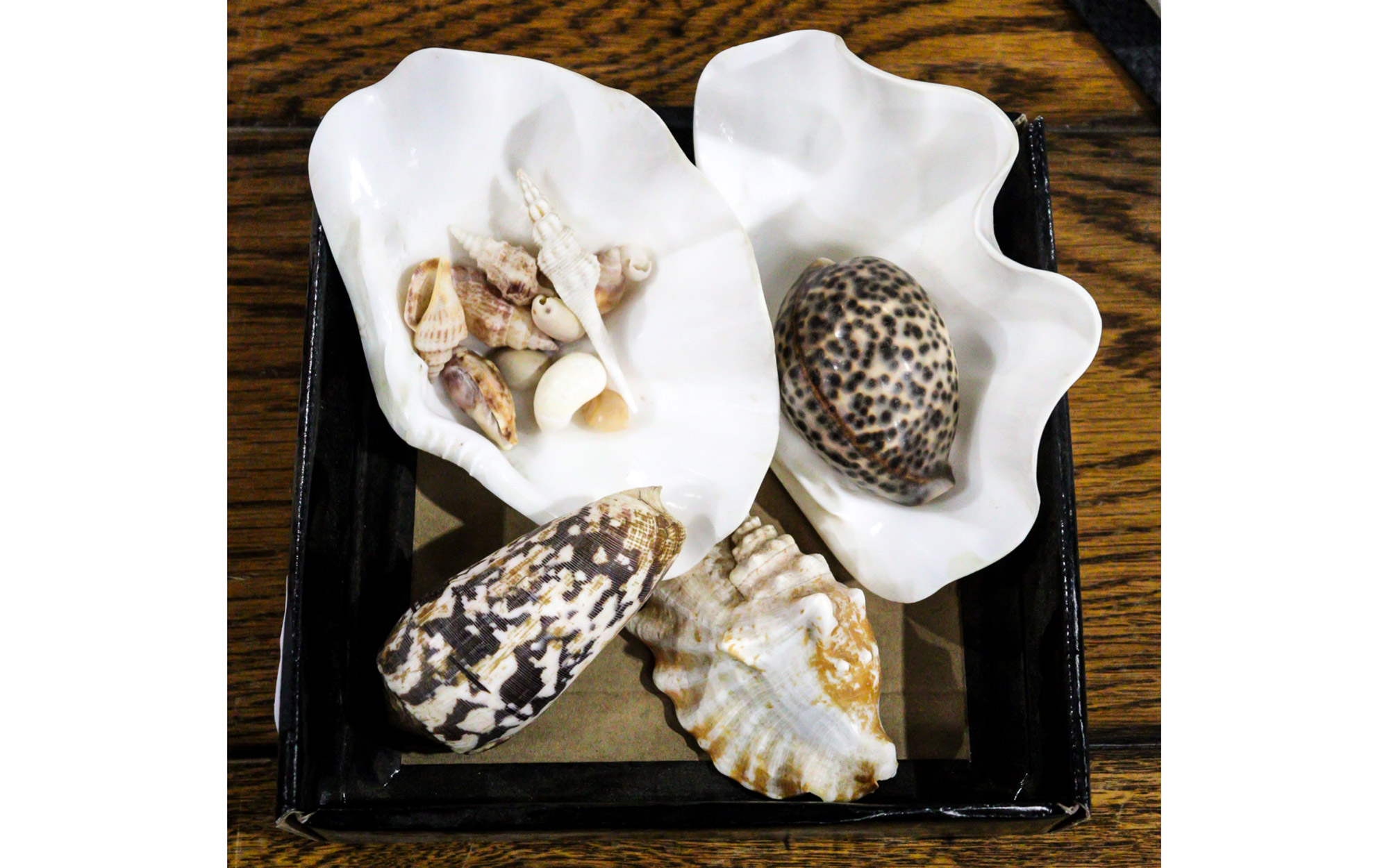 Lot 13 - Image 2