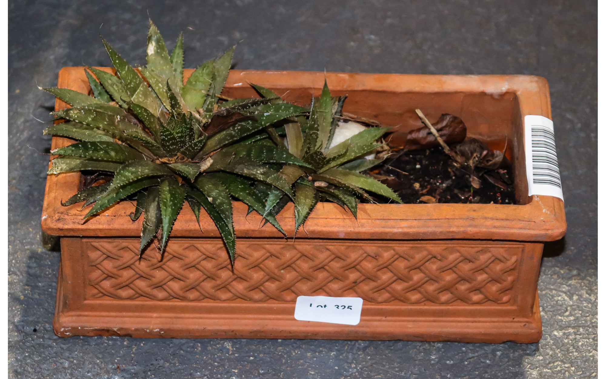 Lot 325 - Image 2