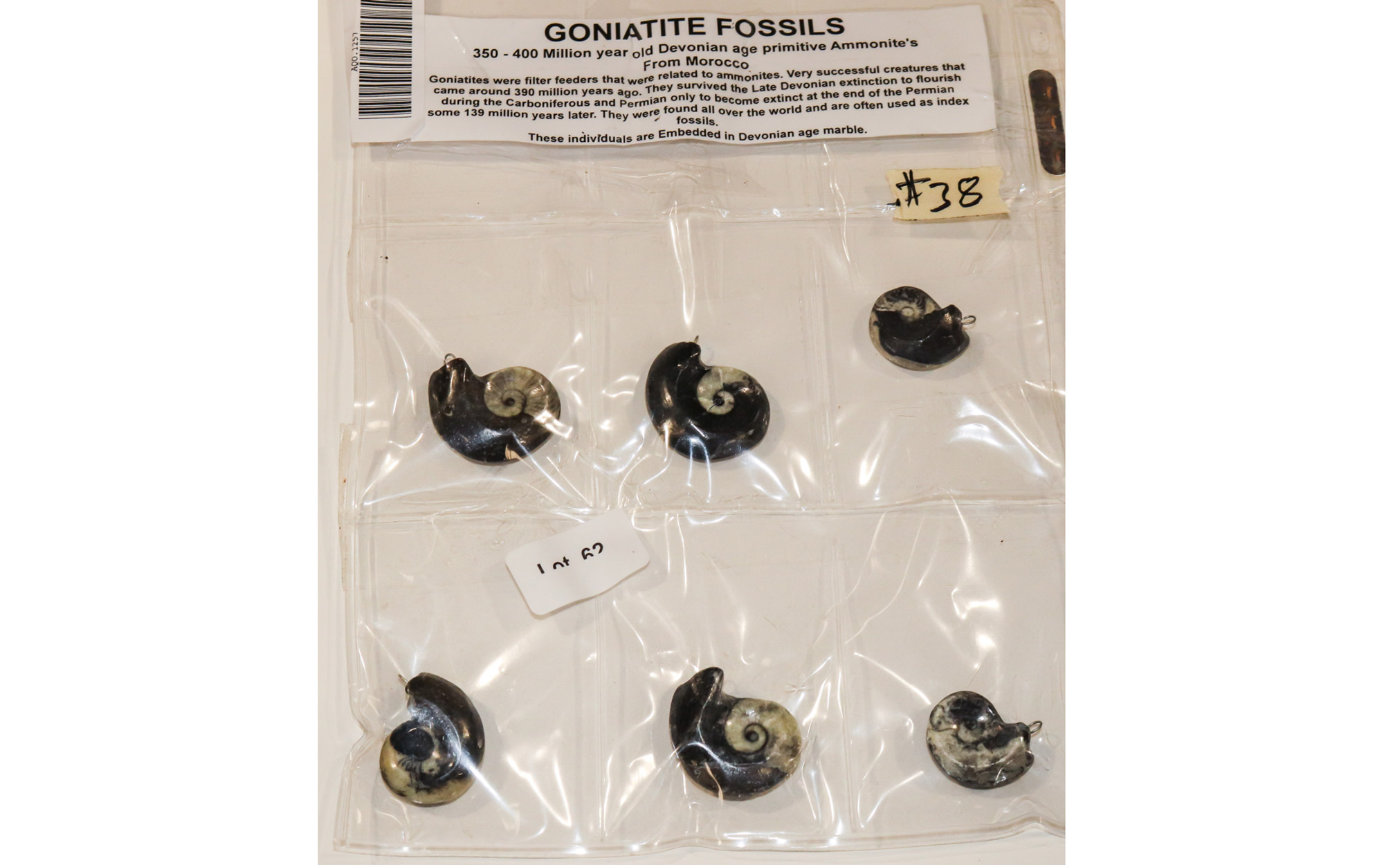 Lot 62 - Image 2