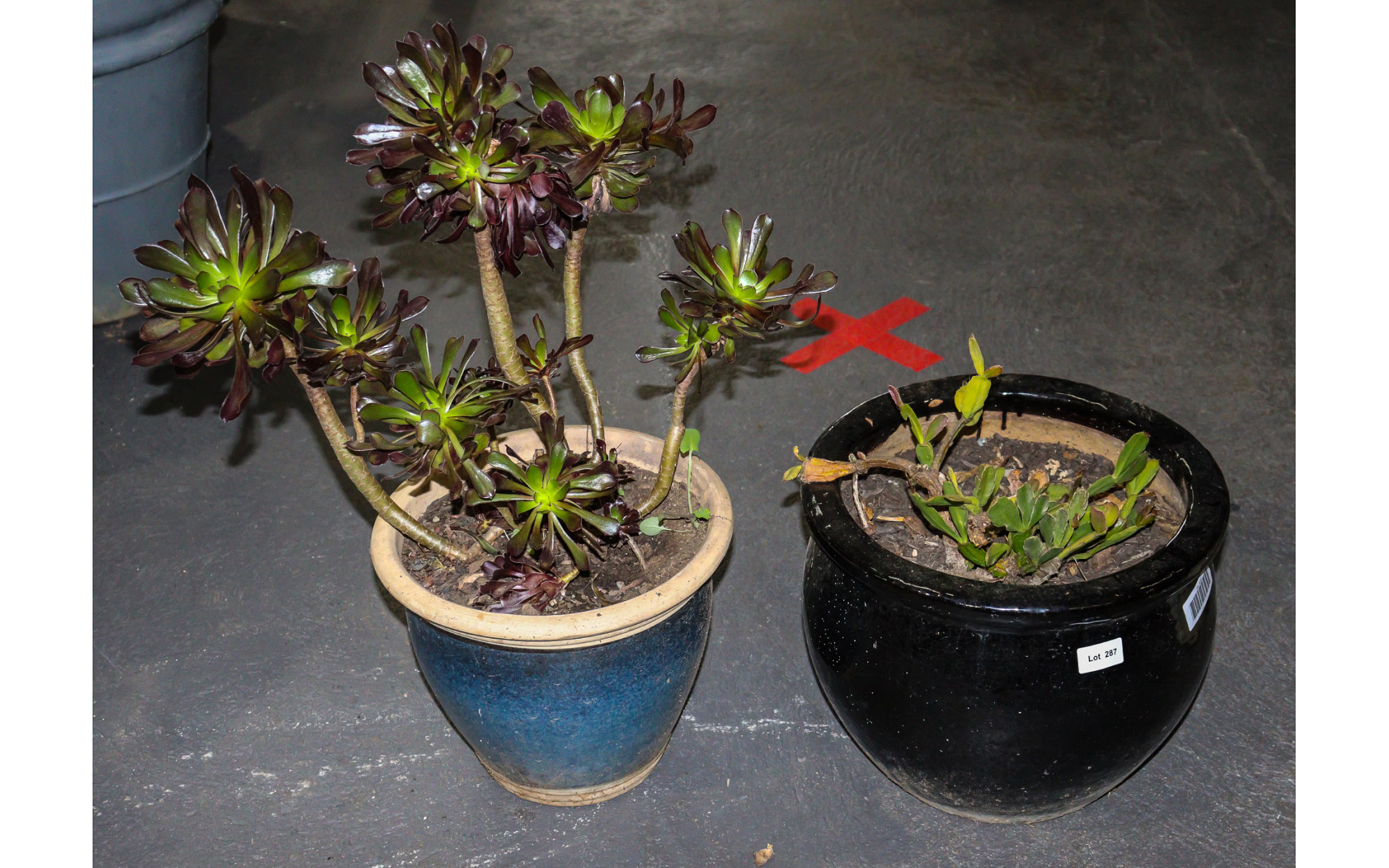 Lot 287 - Image 2
