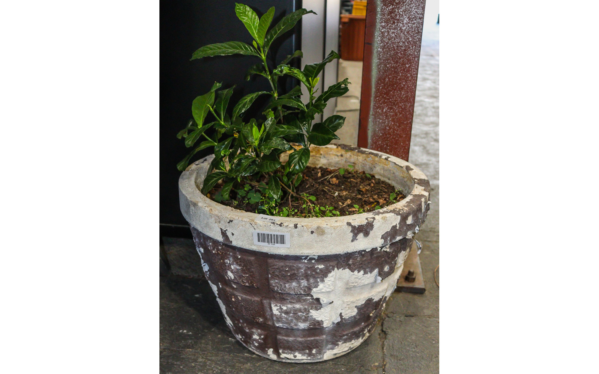 Lot 293 - Image 2