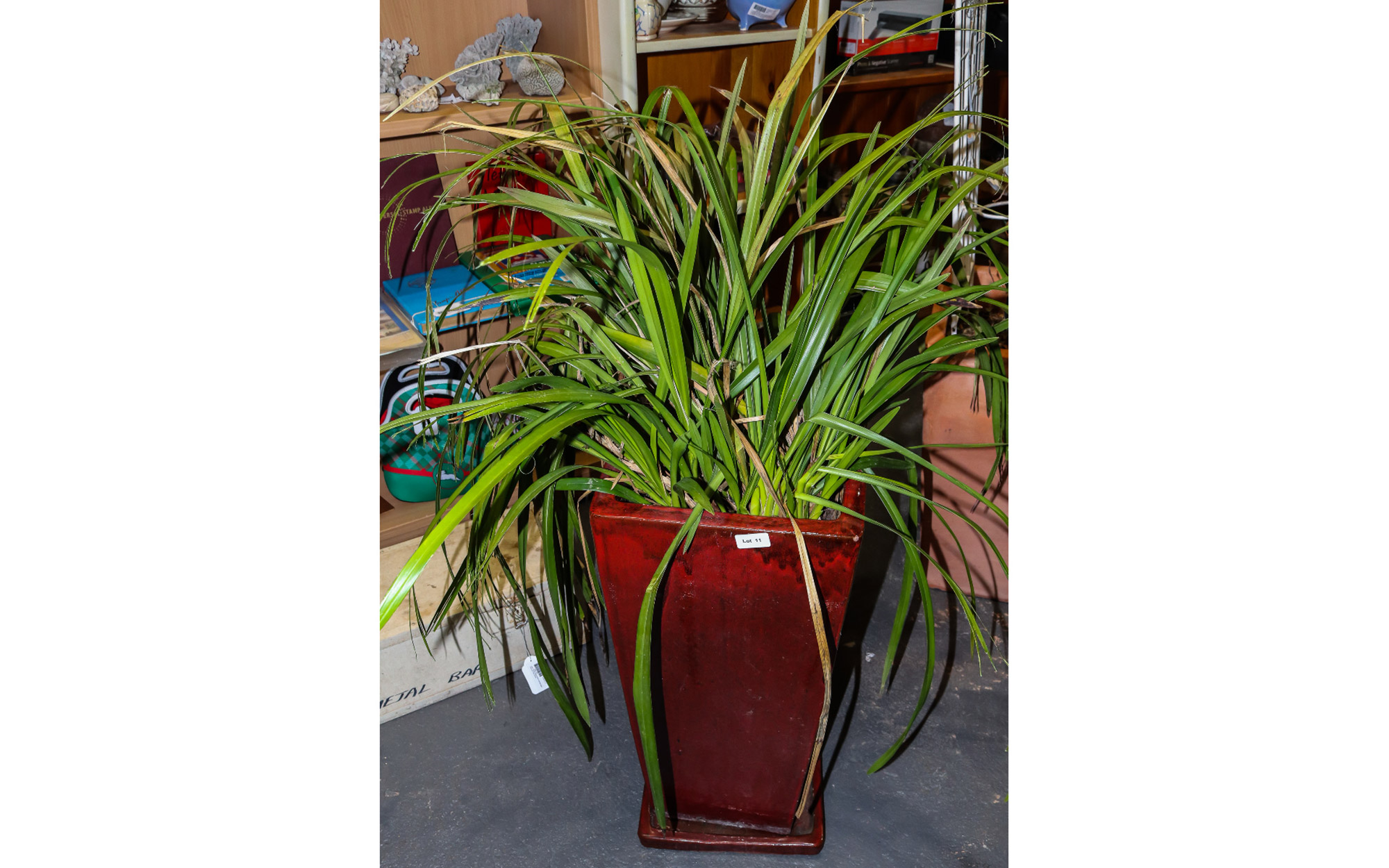 Lot 11 - Image 2