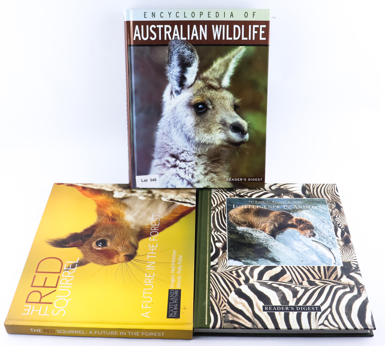 Lot 340 - Image 2