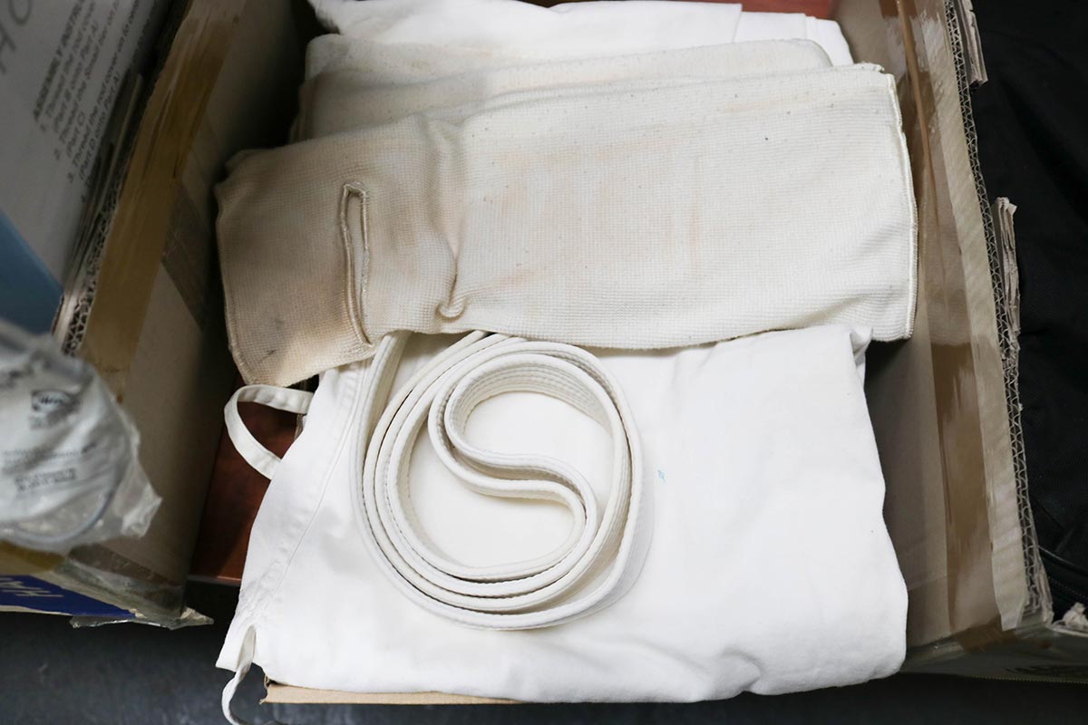 Lot 250 - Image 2