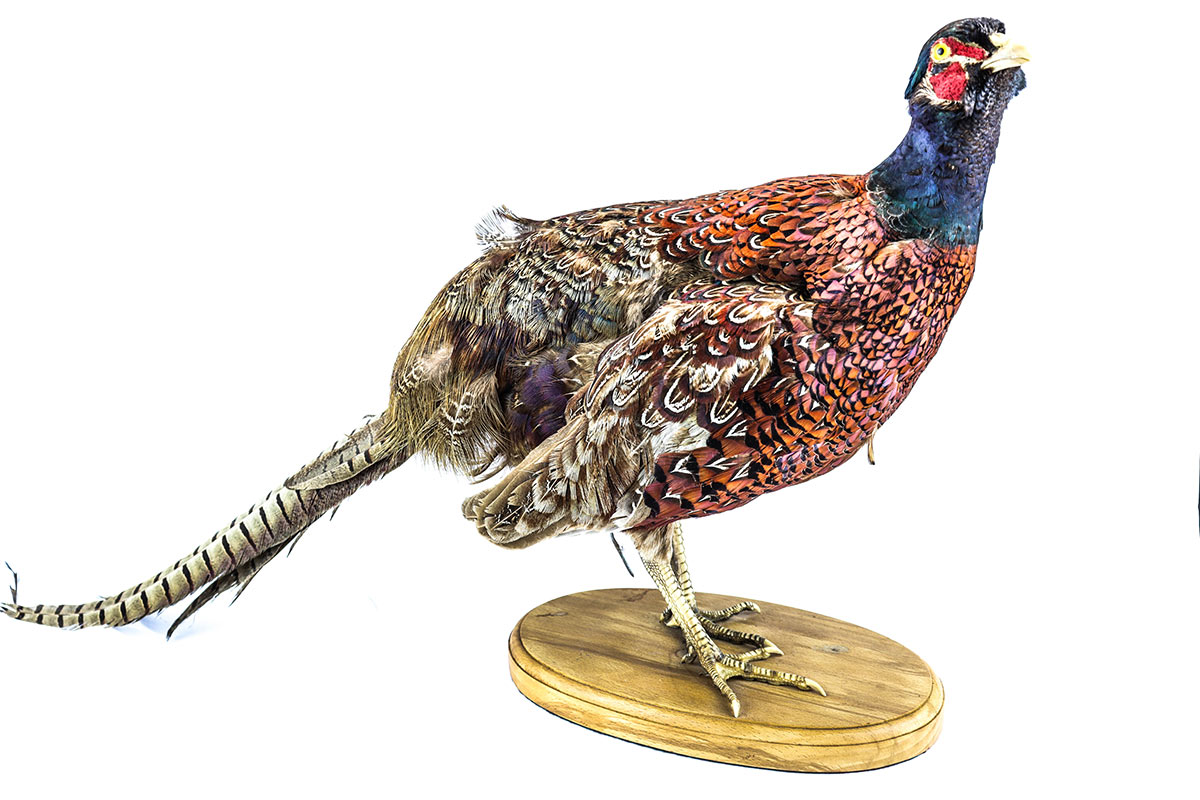 Lot 1001 - Image 2