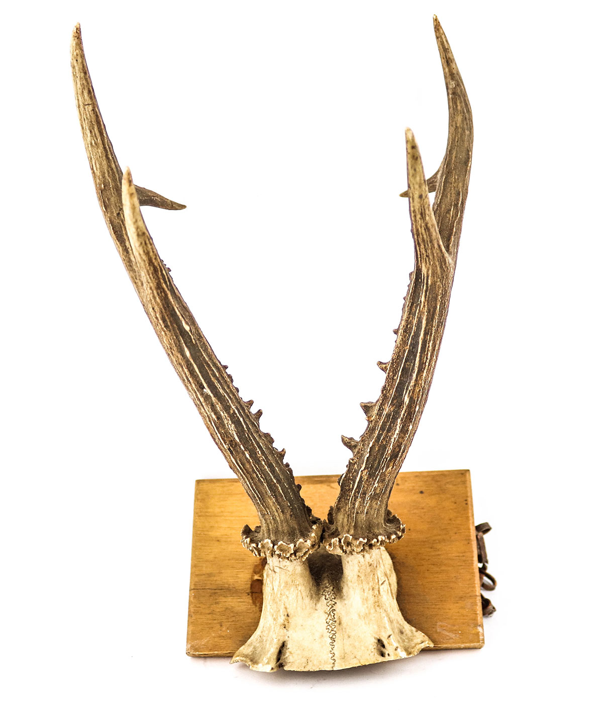 Lot 117 - Image 2