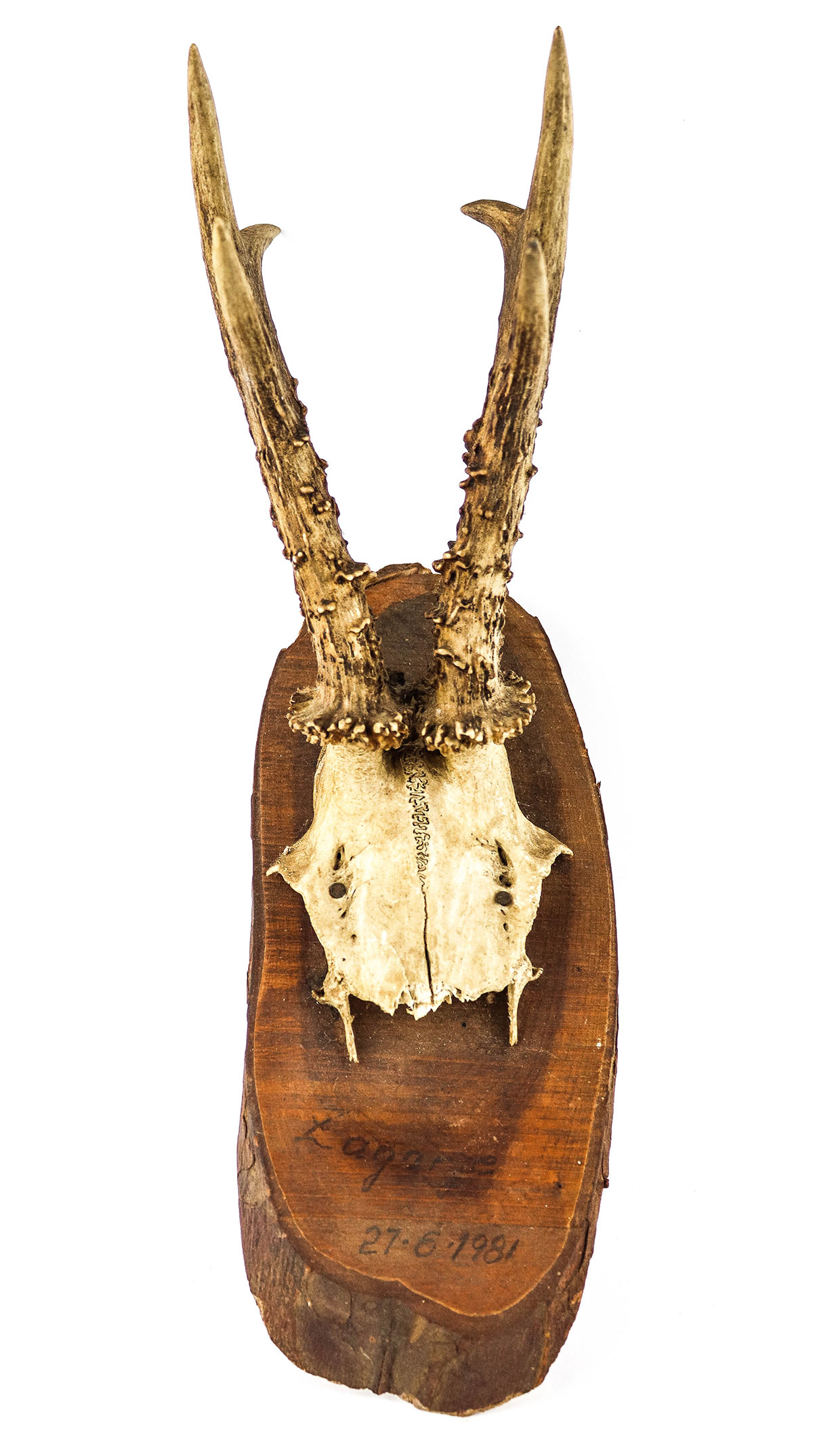 Lot 119 - Image 2