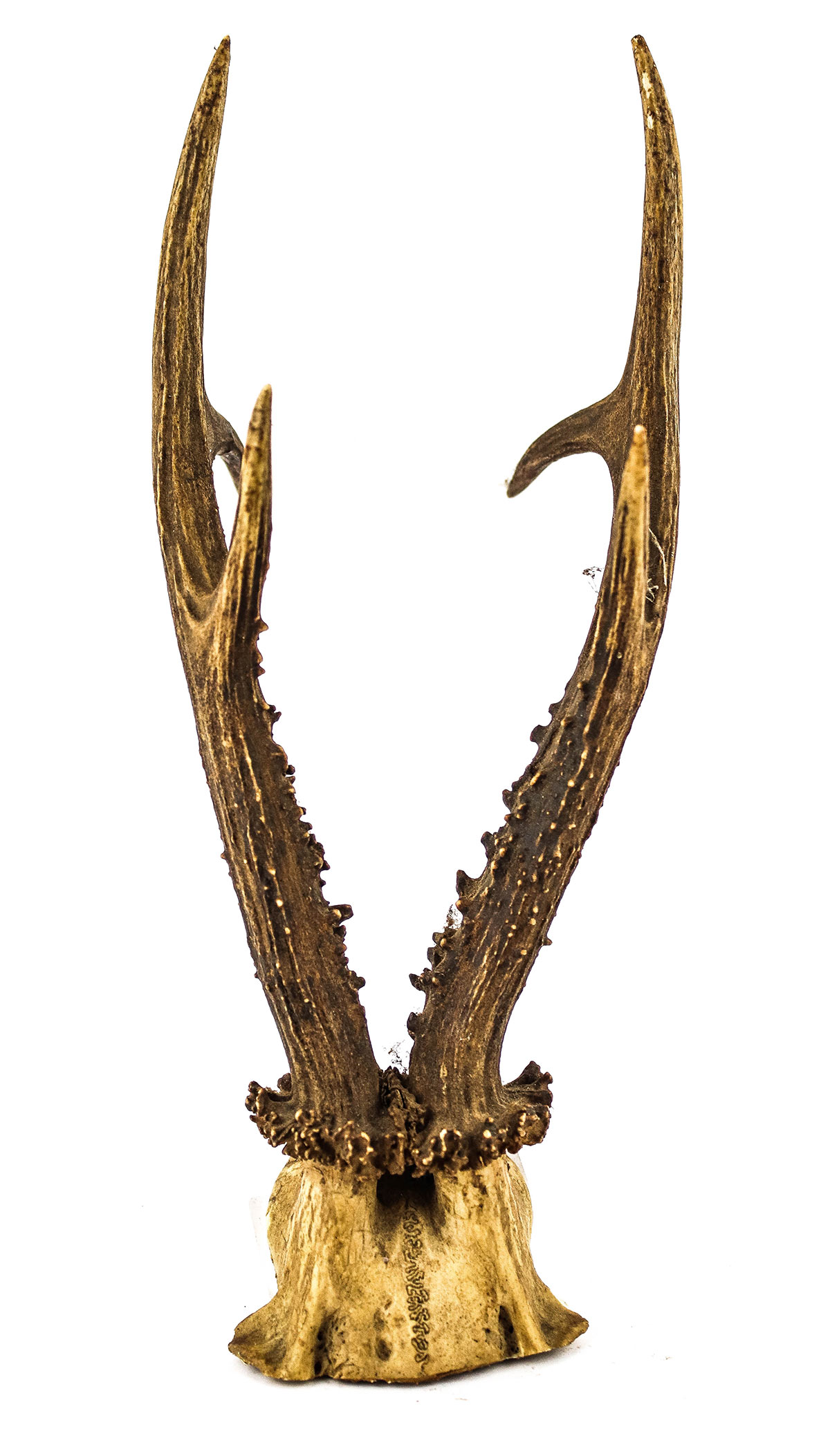 Lot 121 - Image 2