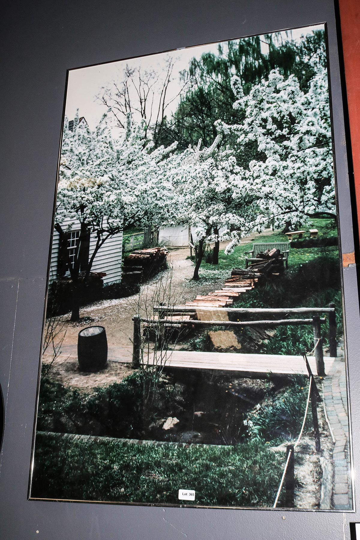 Lot 365 - Image 2