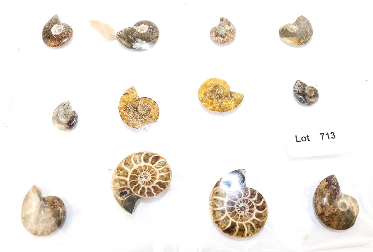 Lot 713 - Image 2