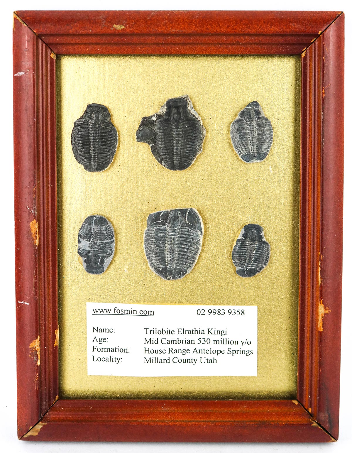 Lot 719 - Image 2