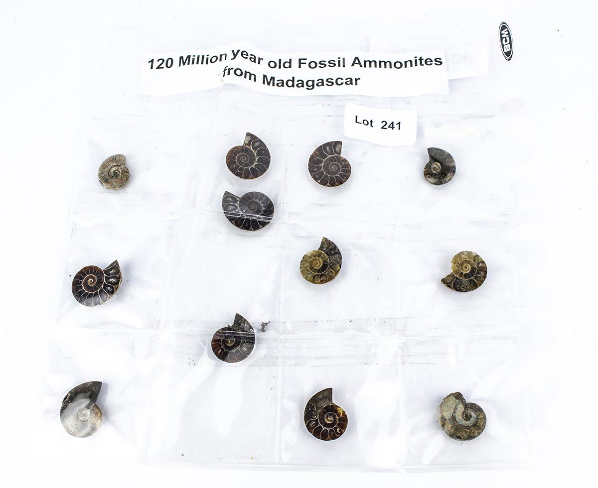 Lot 241 - Image 2
