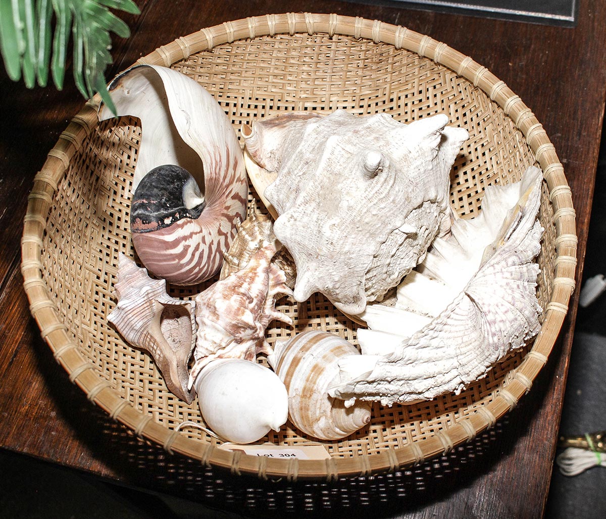 Lot 304 - Image 2