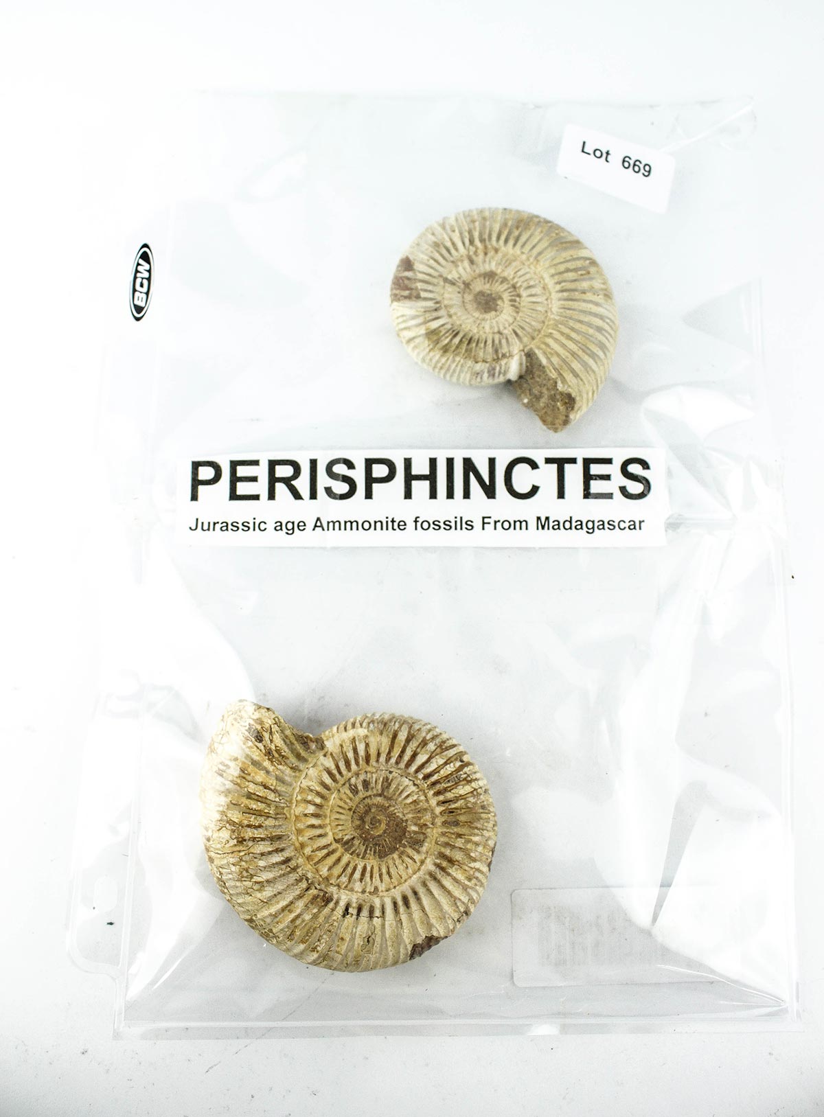 Lot 669 - Image 2