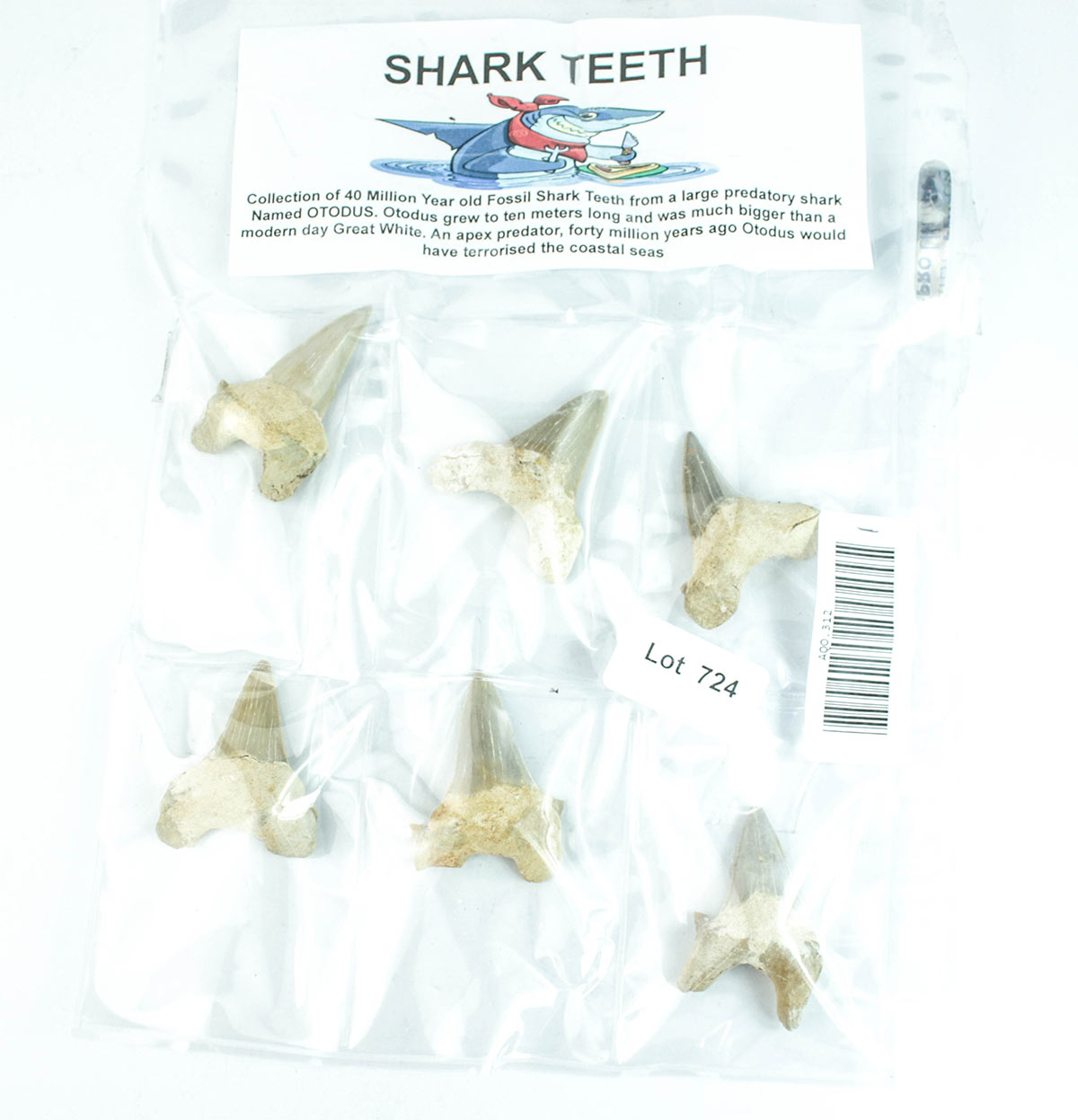 Lot 724 - Image 2