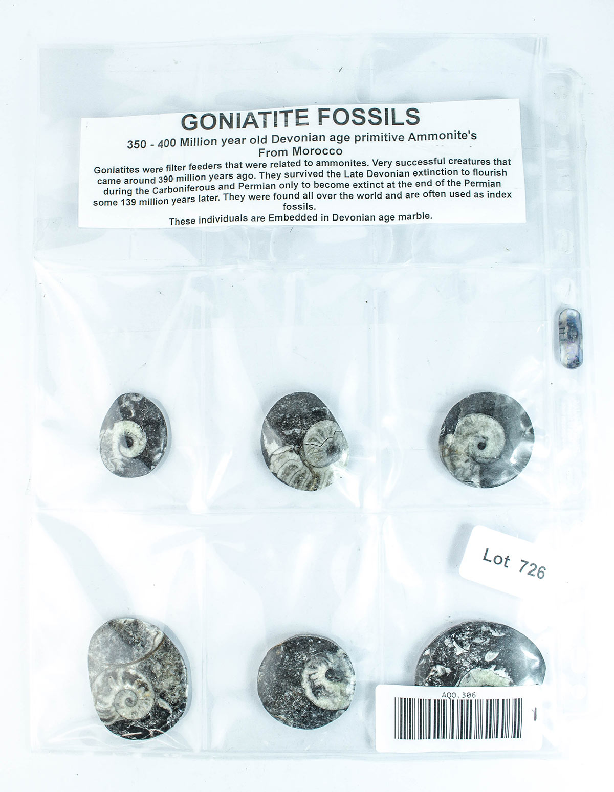 Lot 726 - Image 2