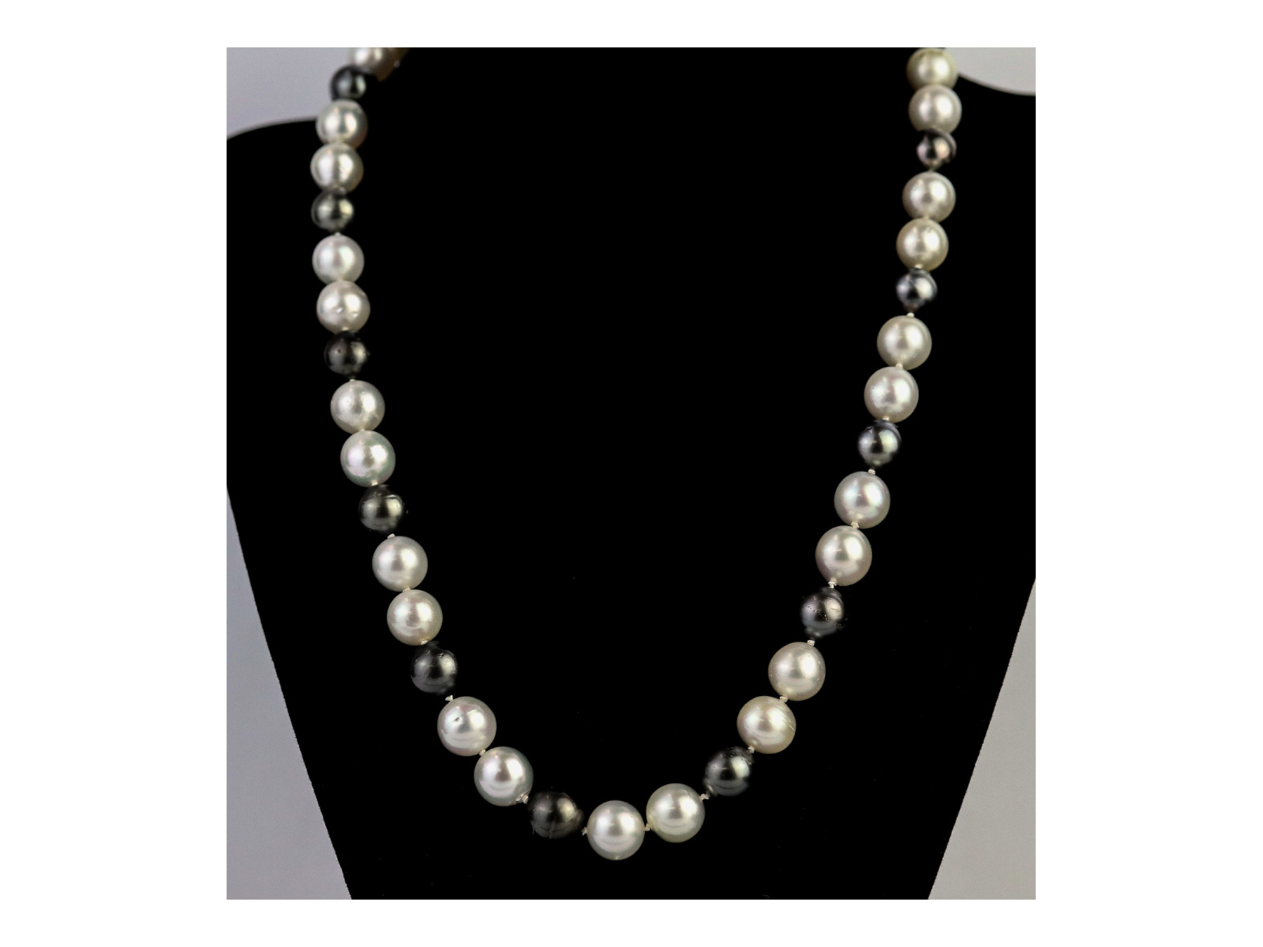 Lot 55 - Image 2