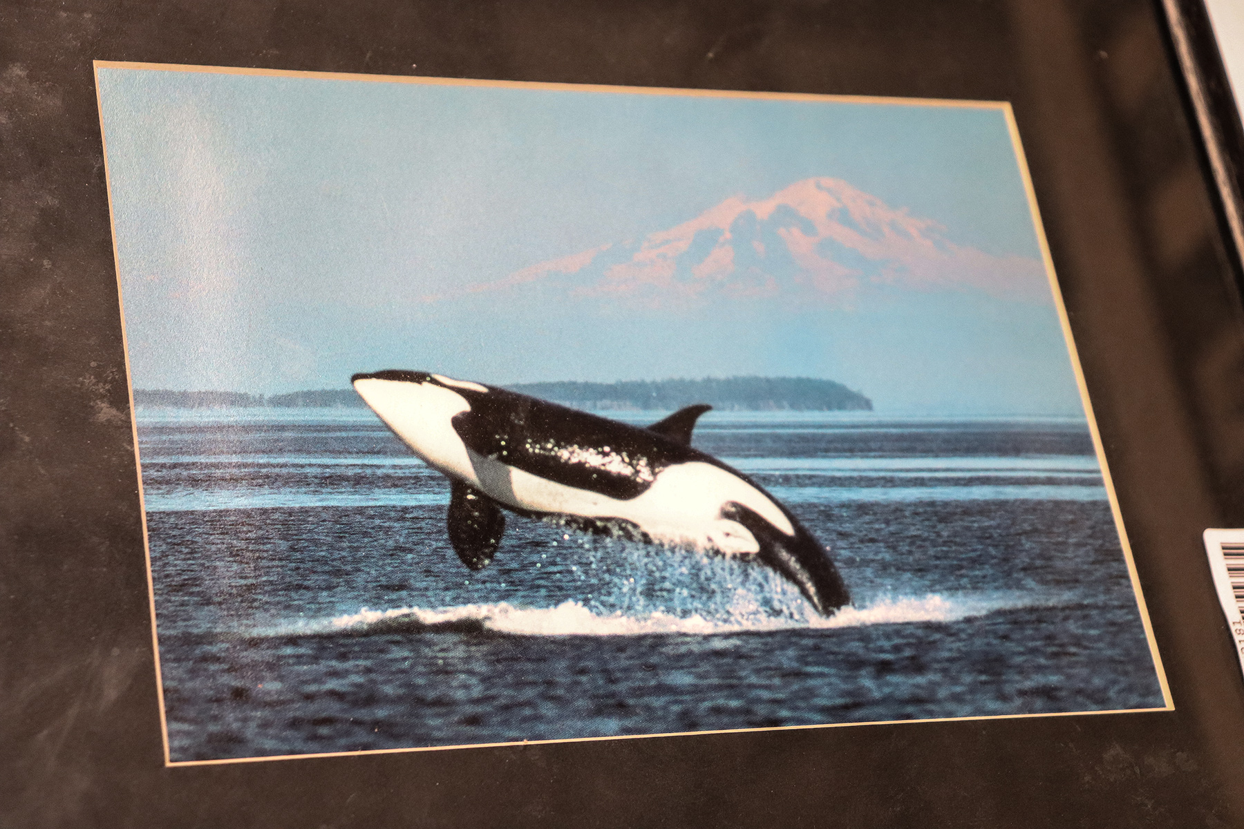 Lot 285 - Image 2
